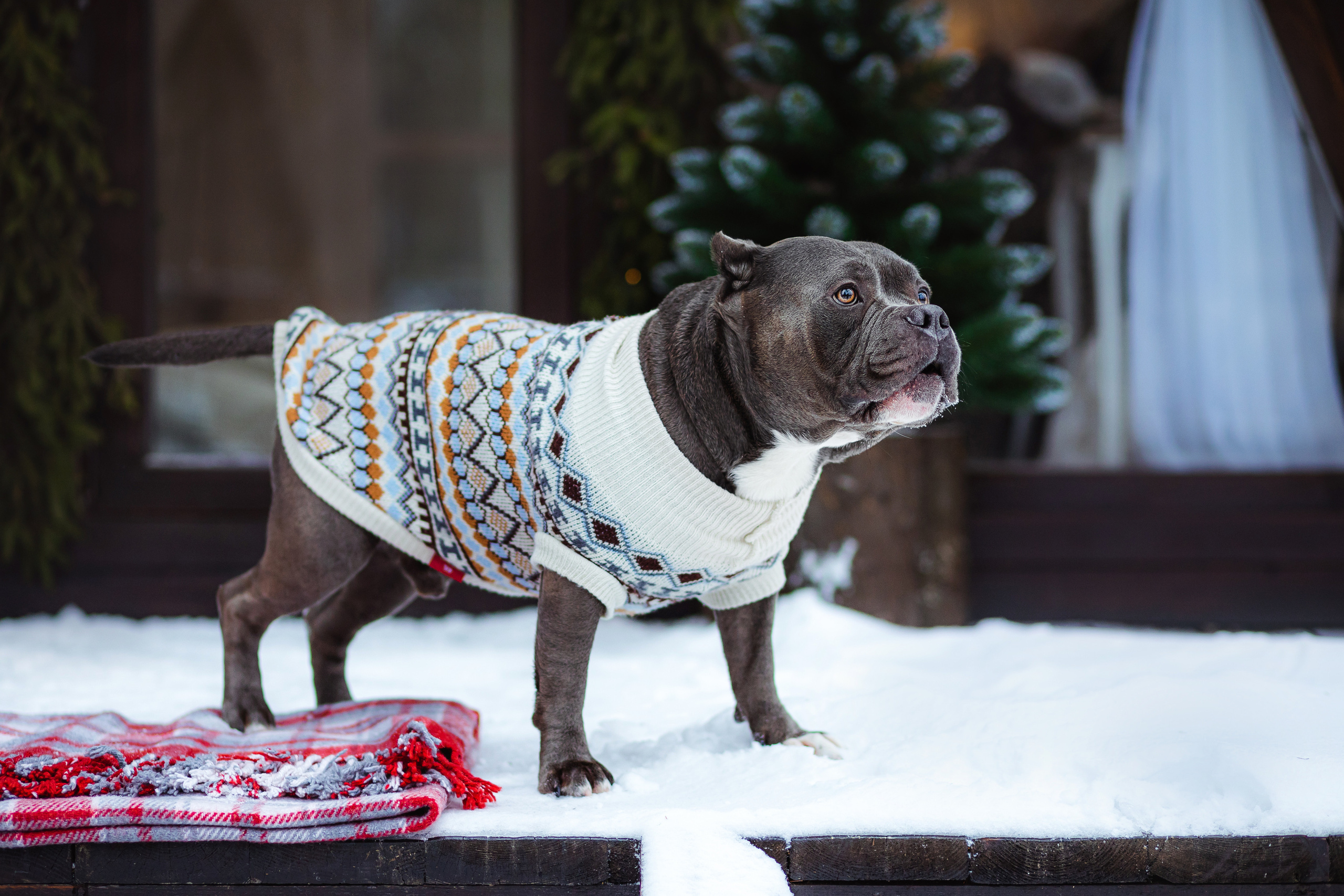 Маша и Халк