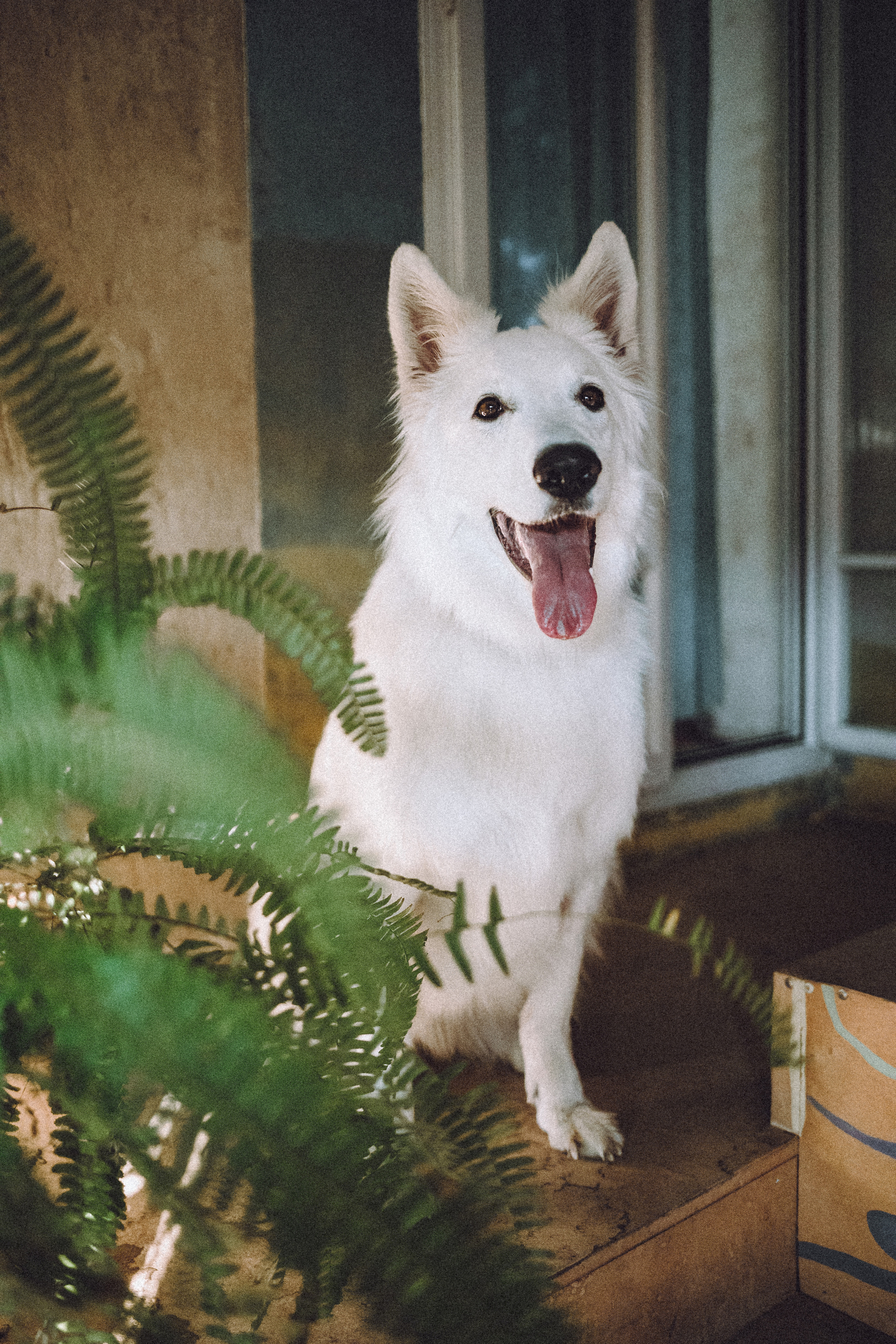 Оля, Саша и Юки