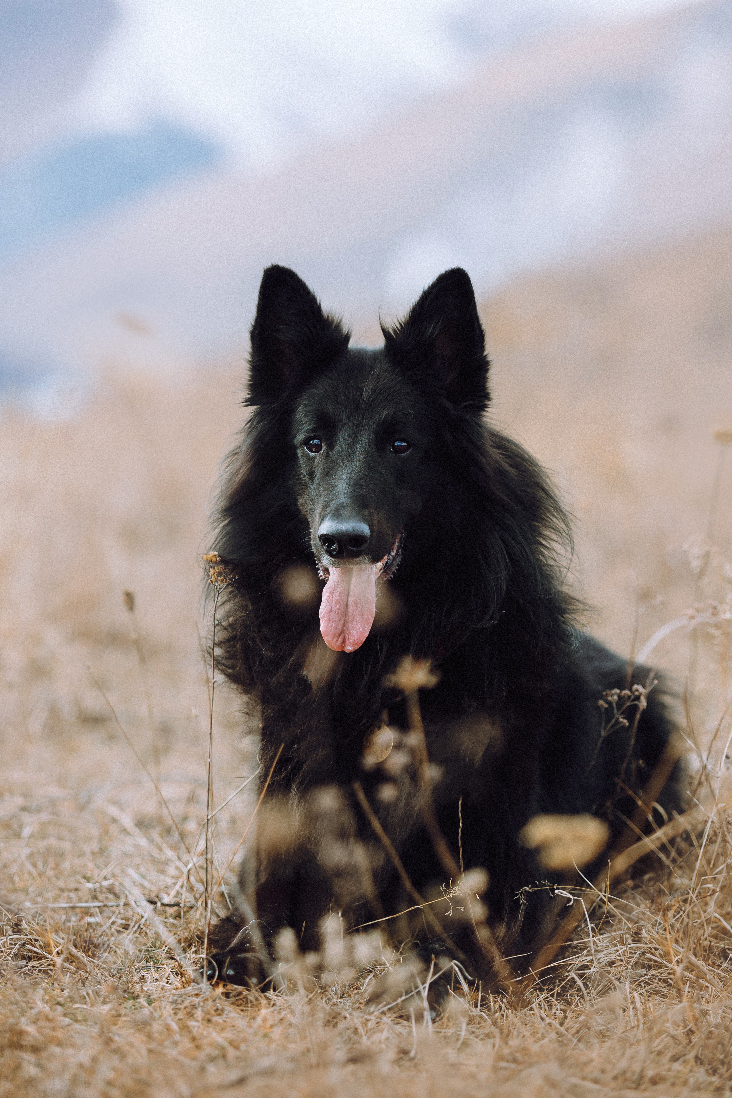 Йаррхи, Антар и их семья