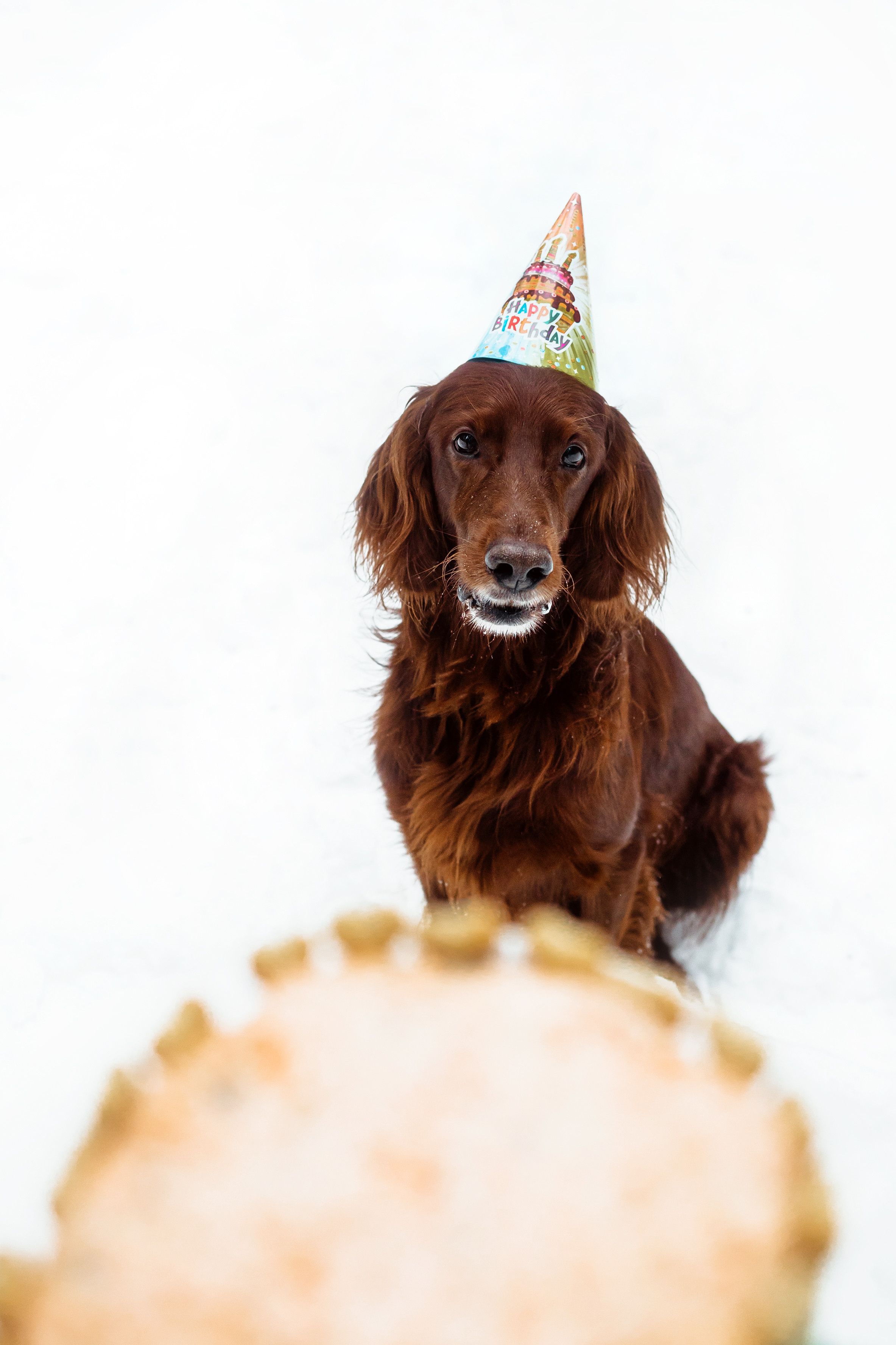 День Рождения Джерри