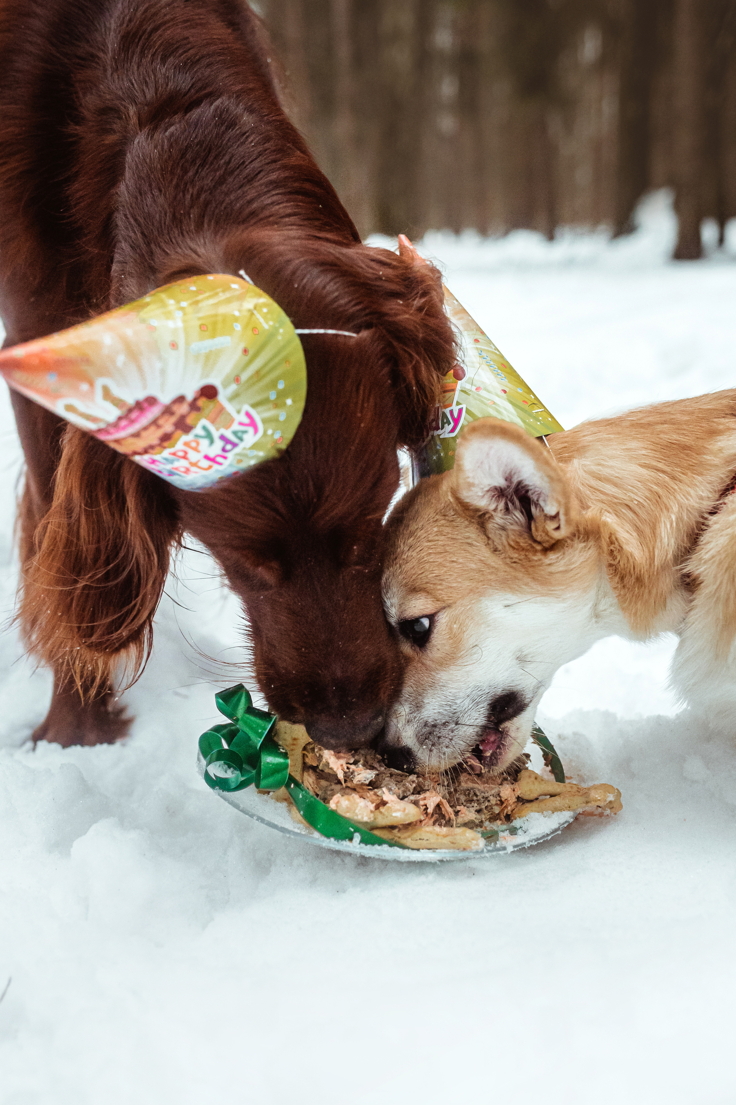 День Рождения Джерри
