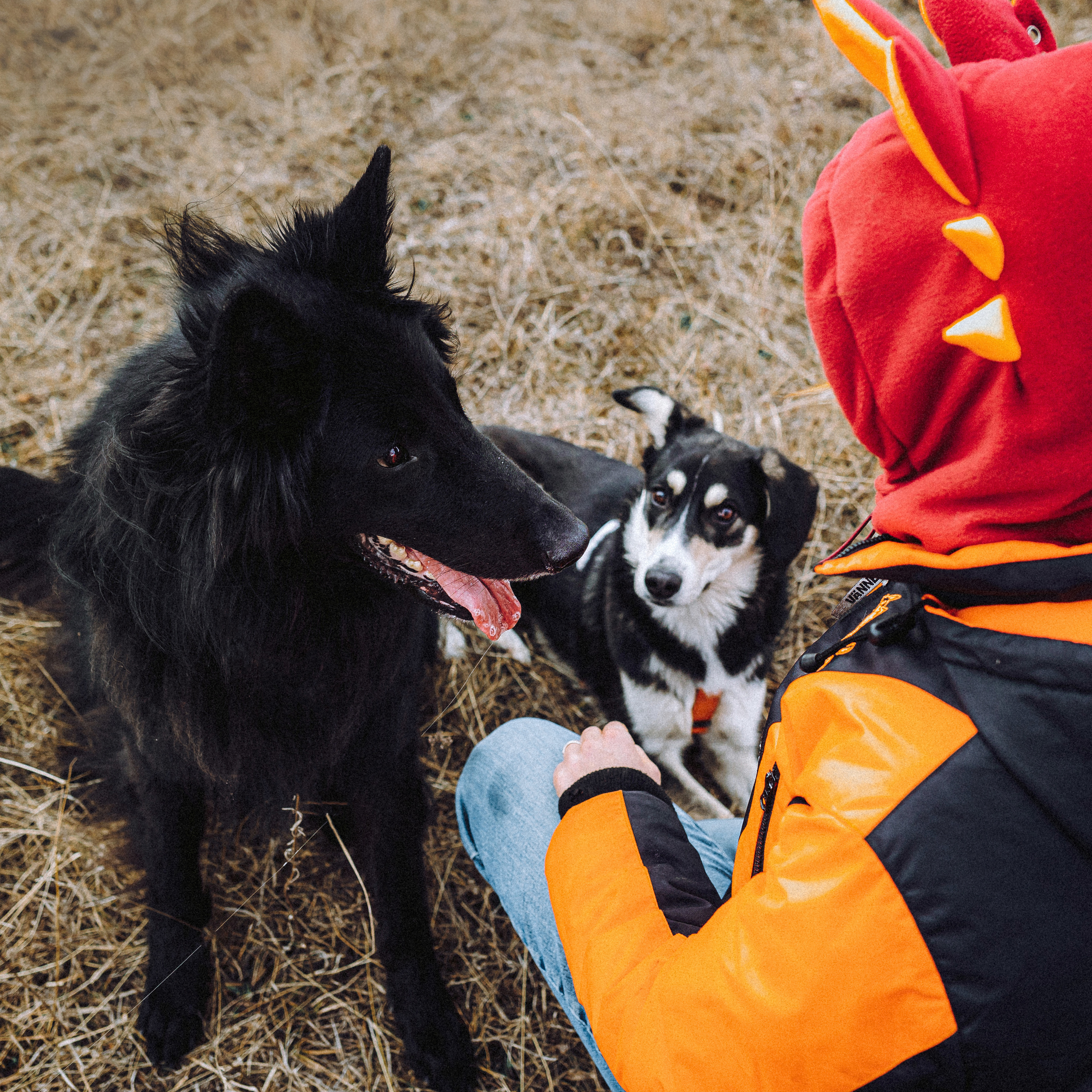 Йаррхи, Антар и их семья