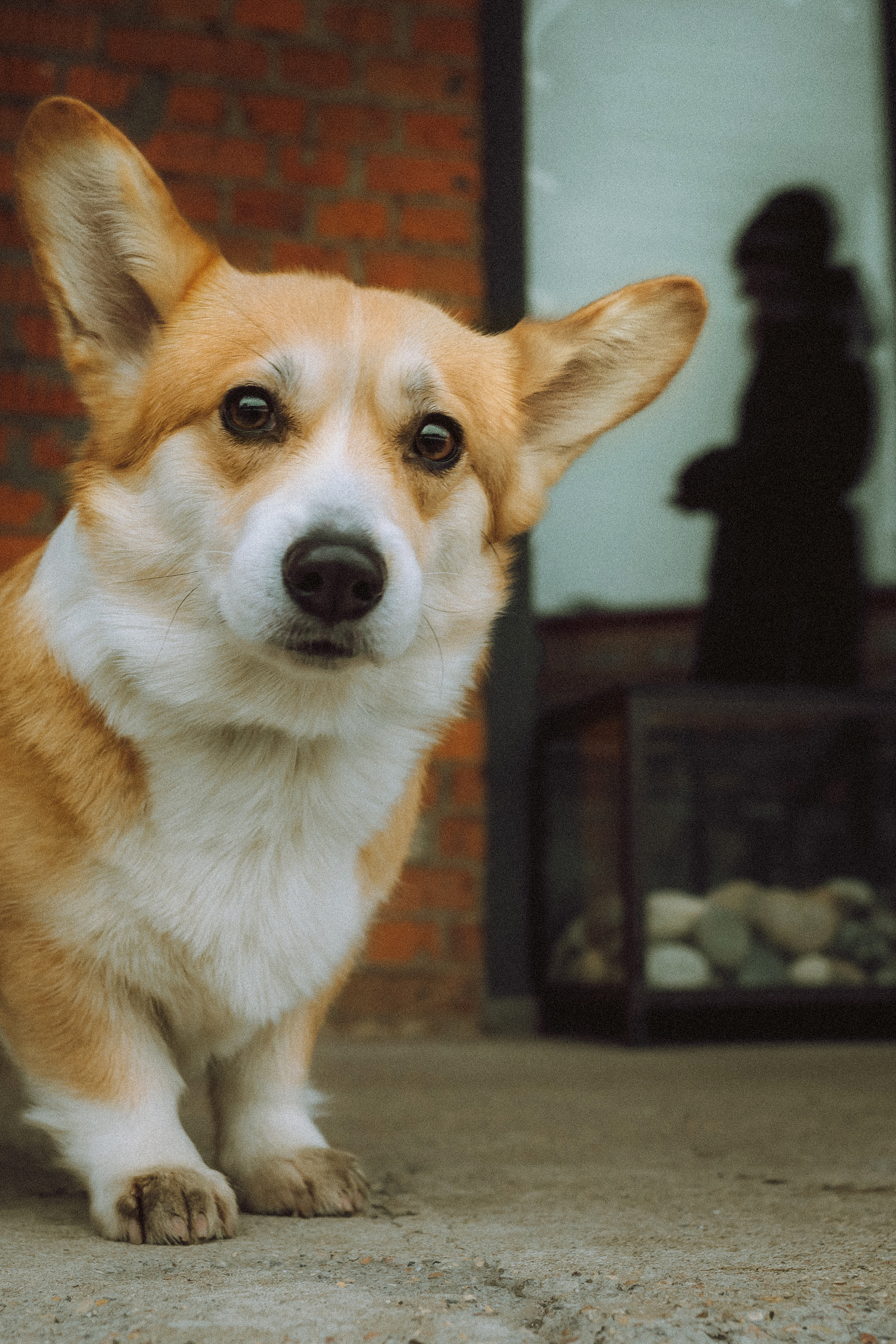 Настя и Ева