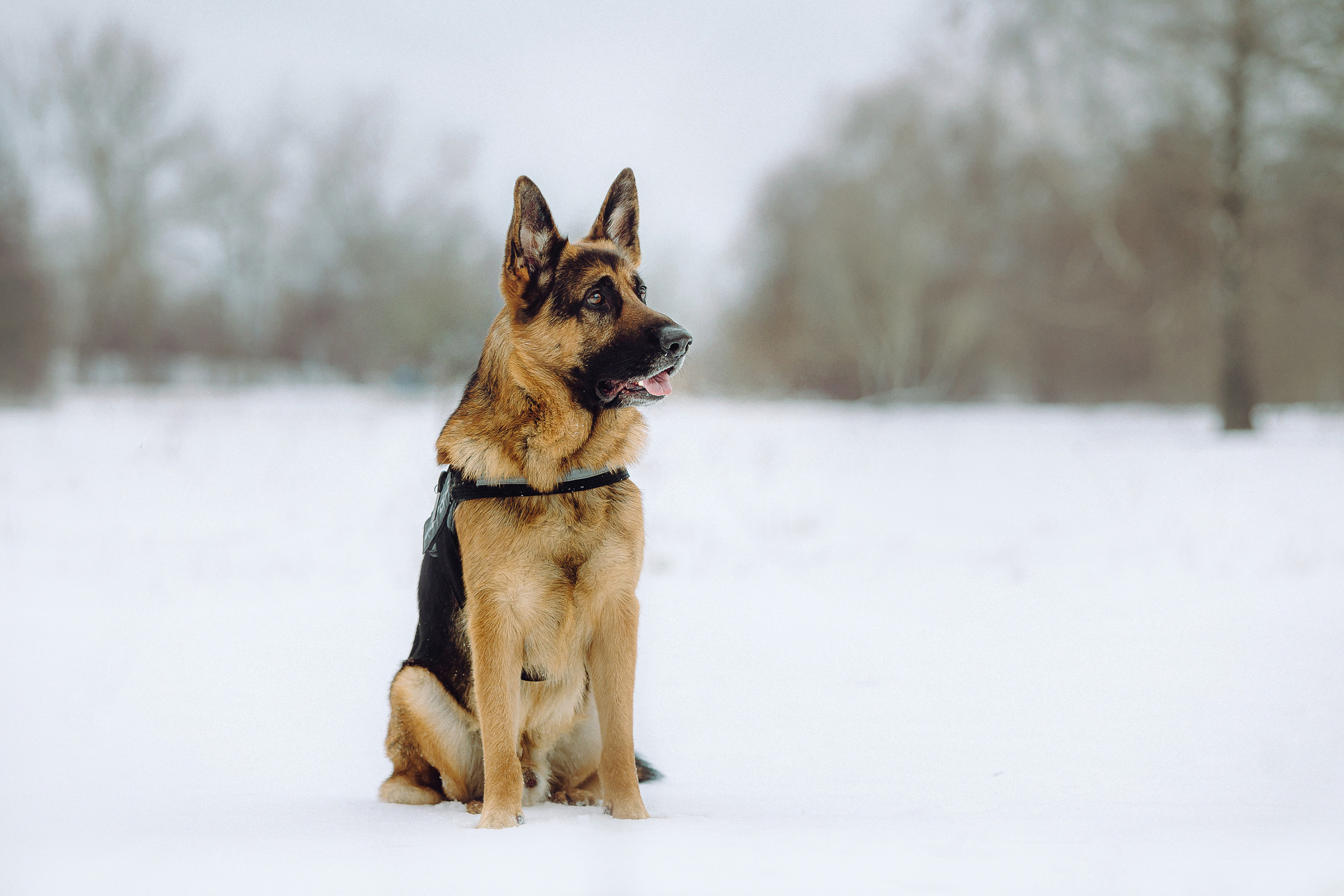 Джим, Лила и их семья
