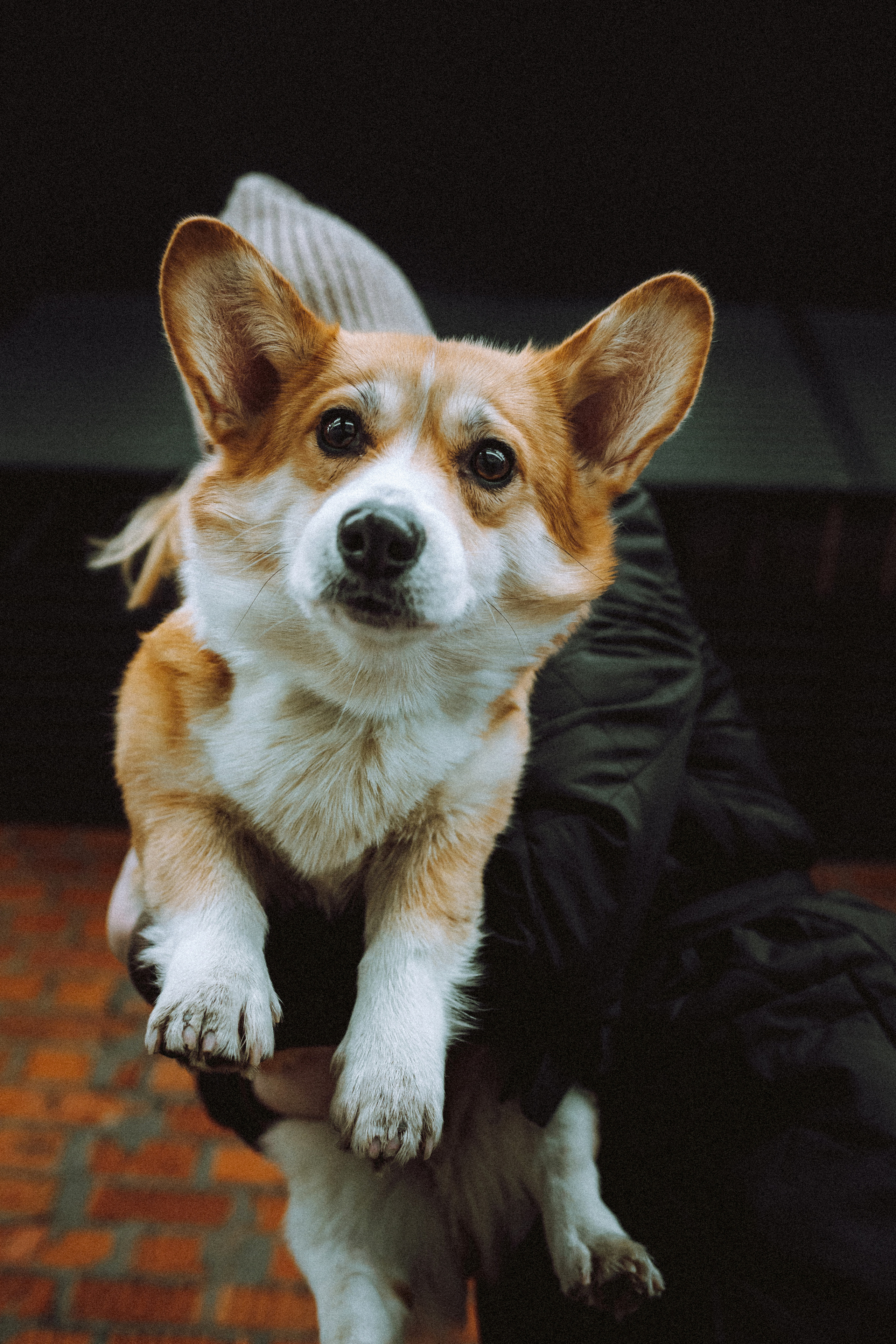 Настя и Ева