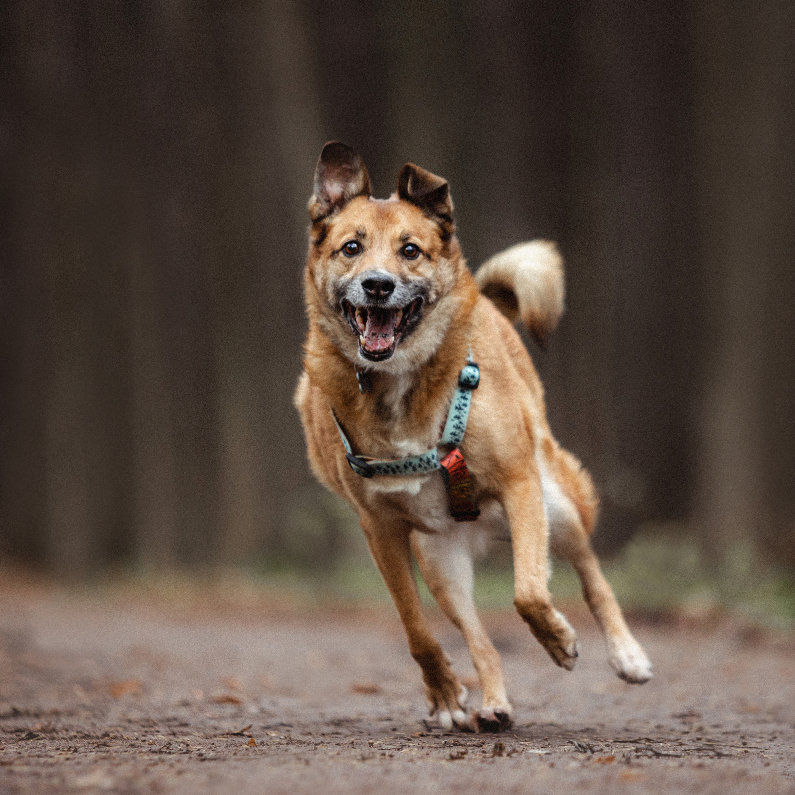 Лика и ее семья