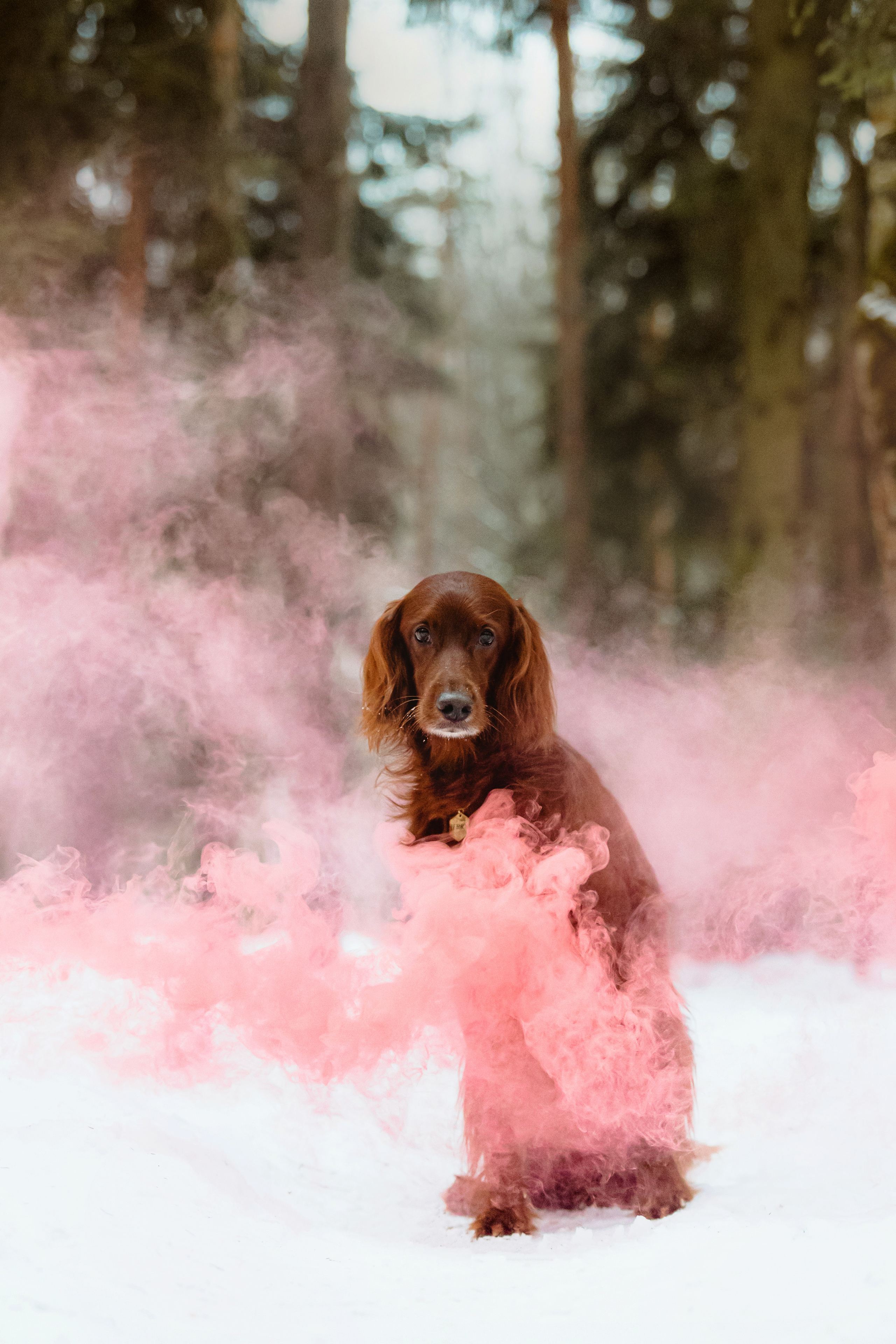 День Рождения Джерри