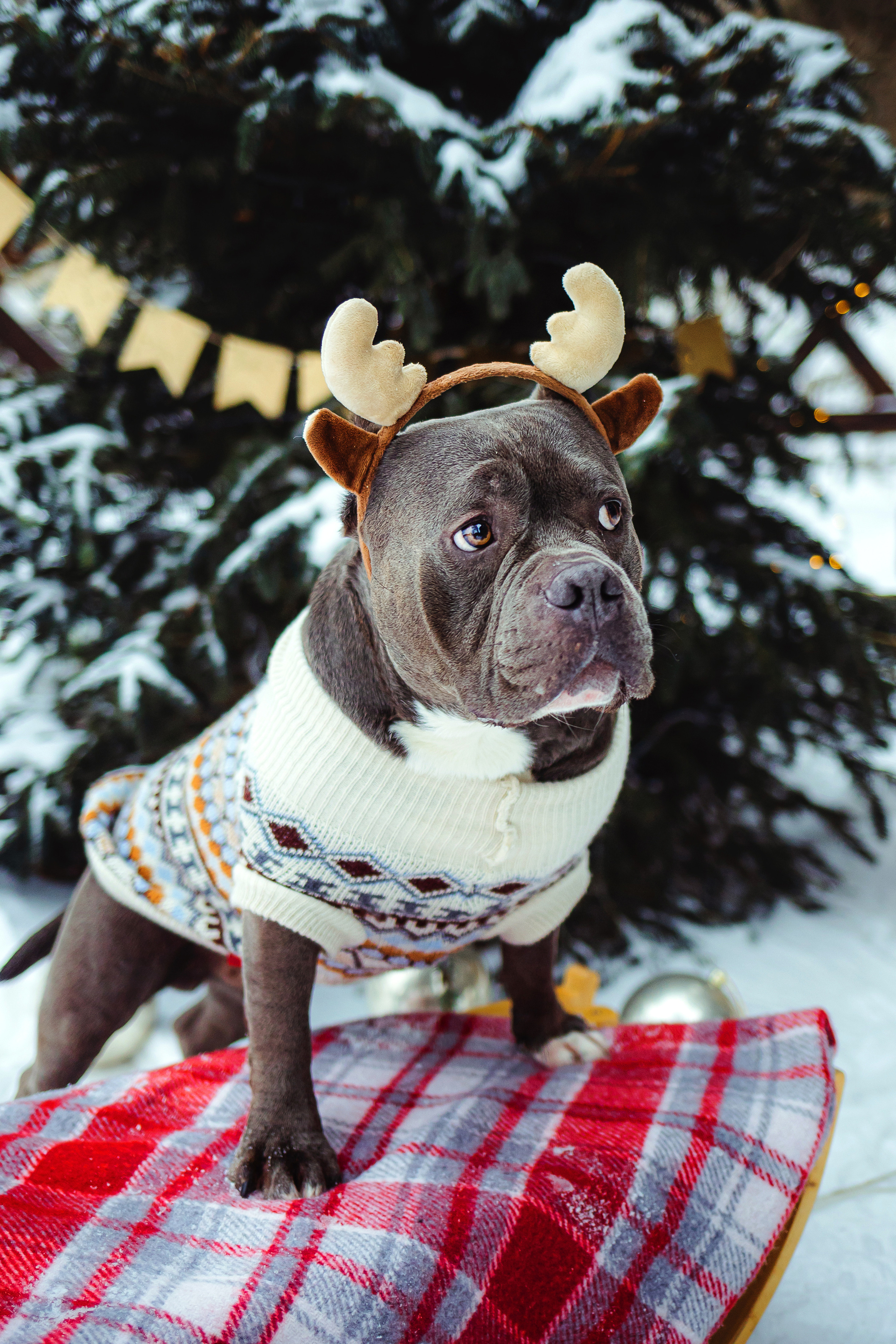 Маша и Халк