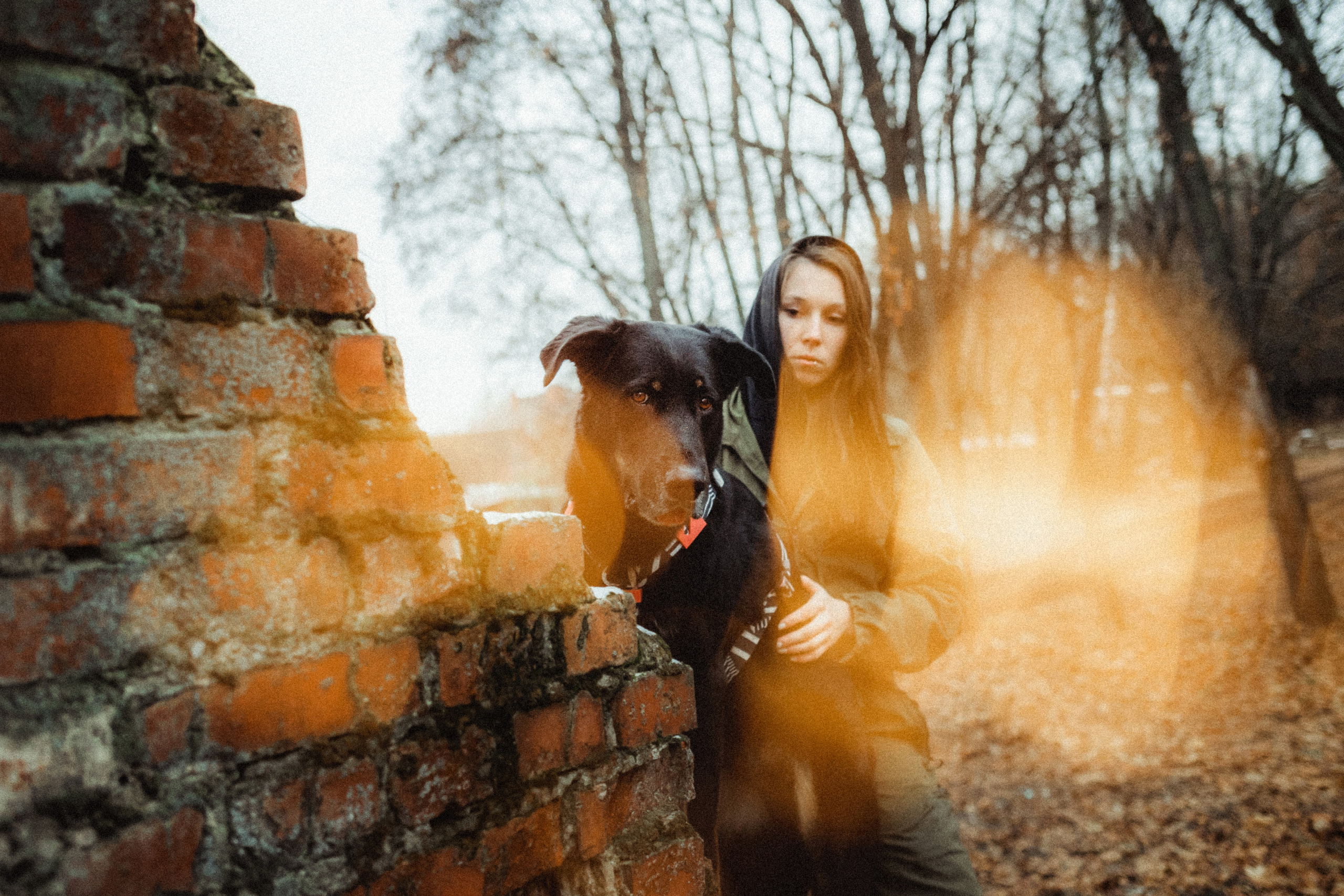 Алена, Фелек и Камю