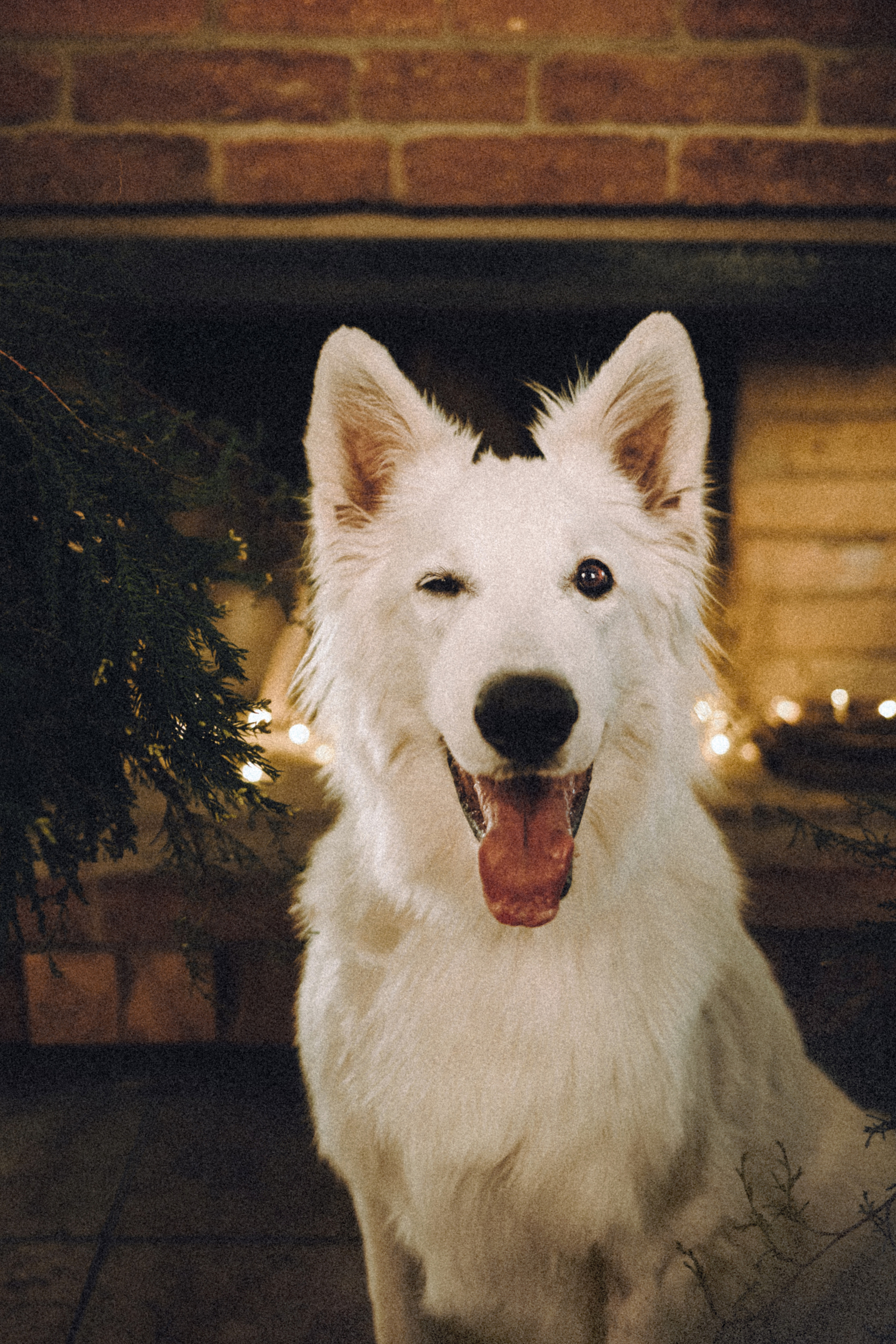 Оля, Саша и Юки