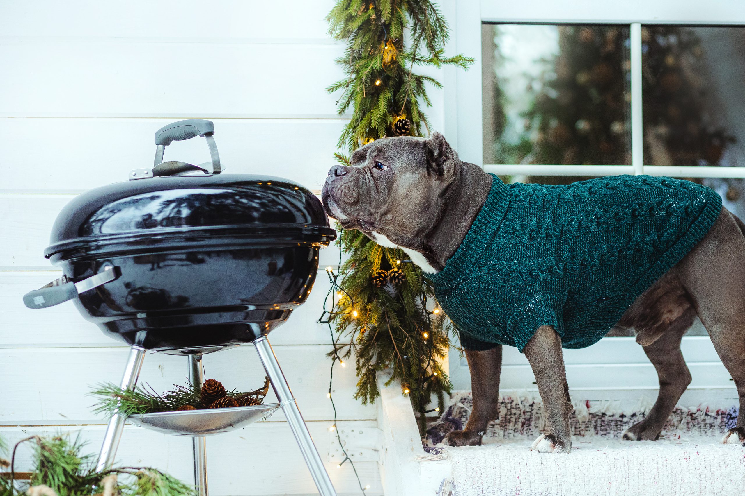 Маша и Халк