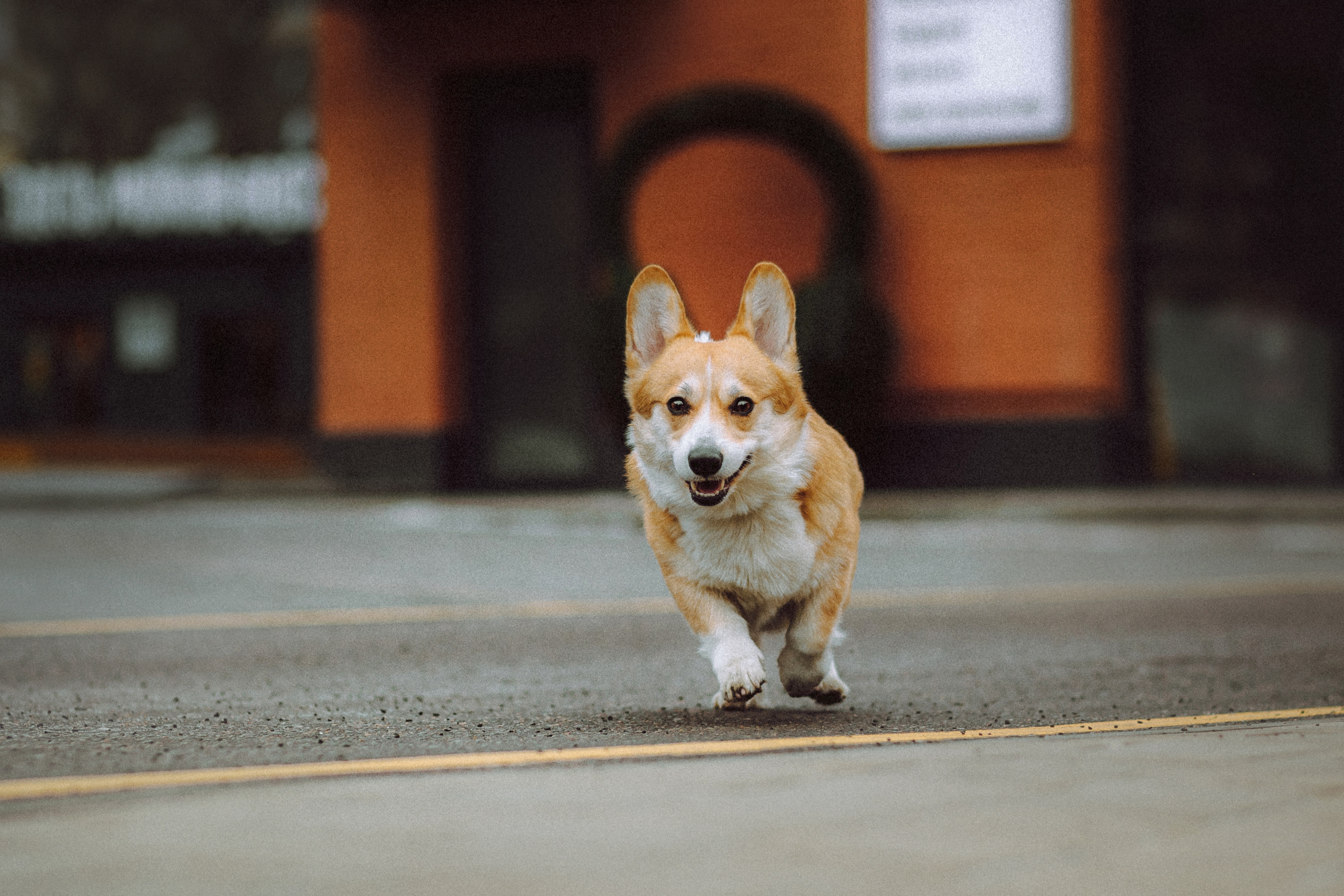 Настя и Ева