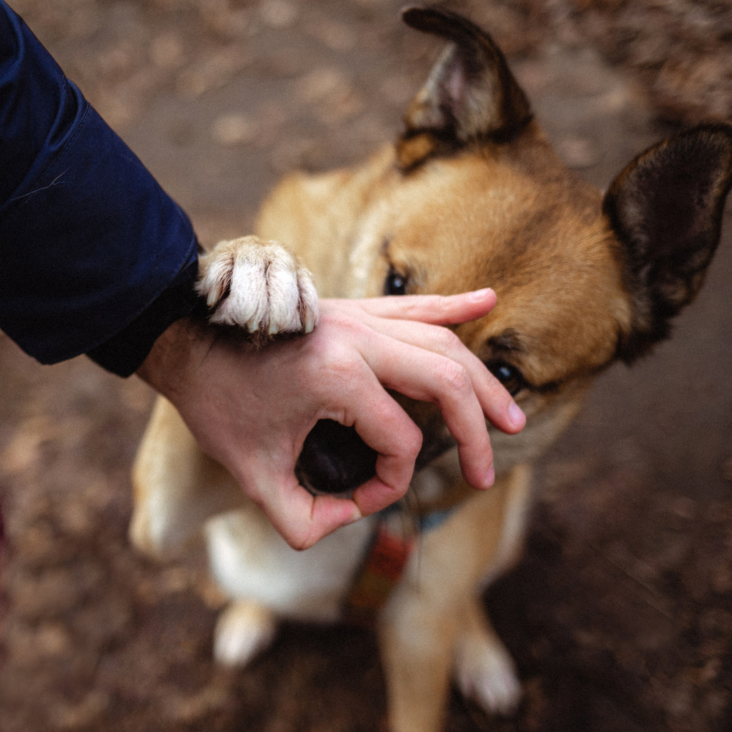 Лика и ее семья