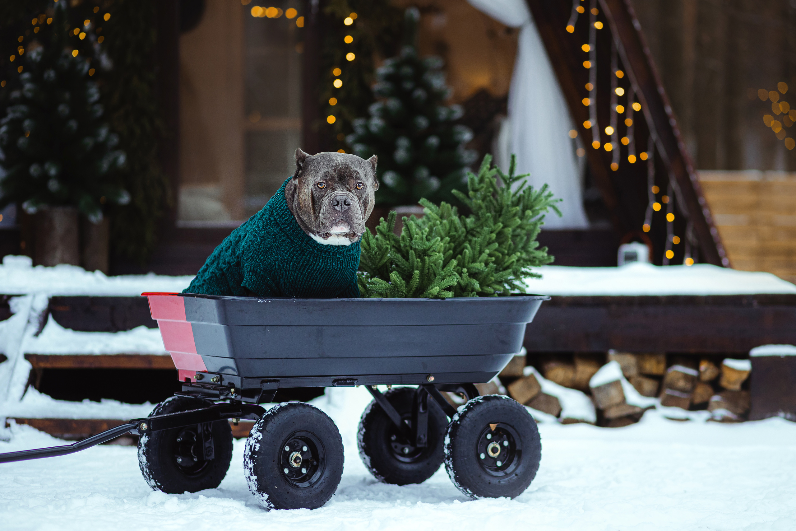 Маша и Халк