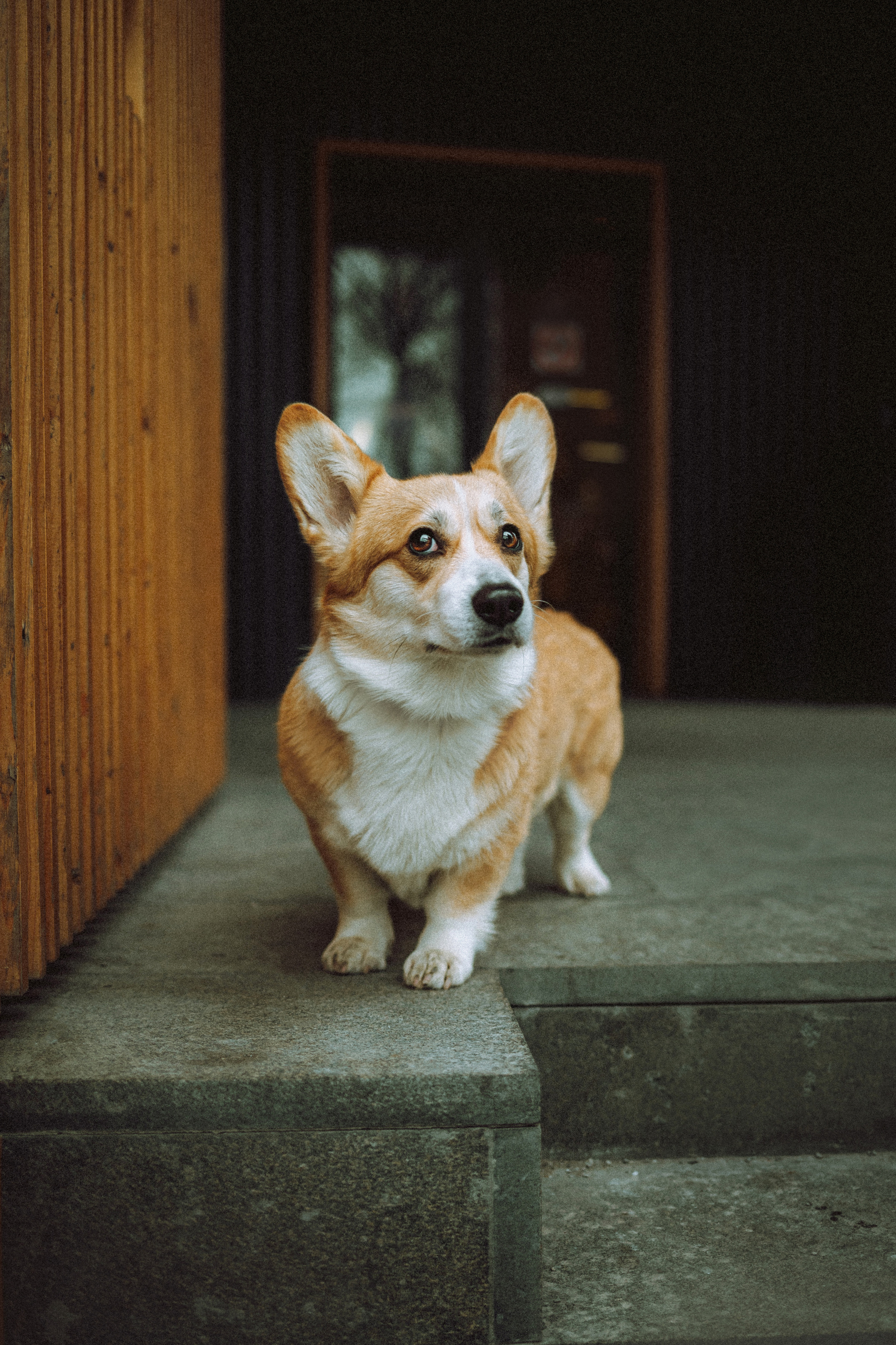 Настя и Ева