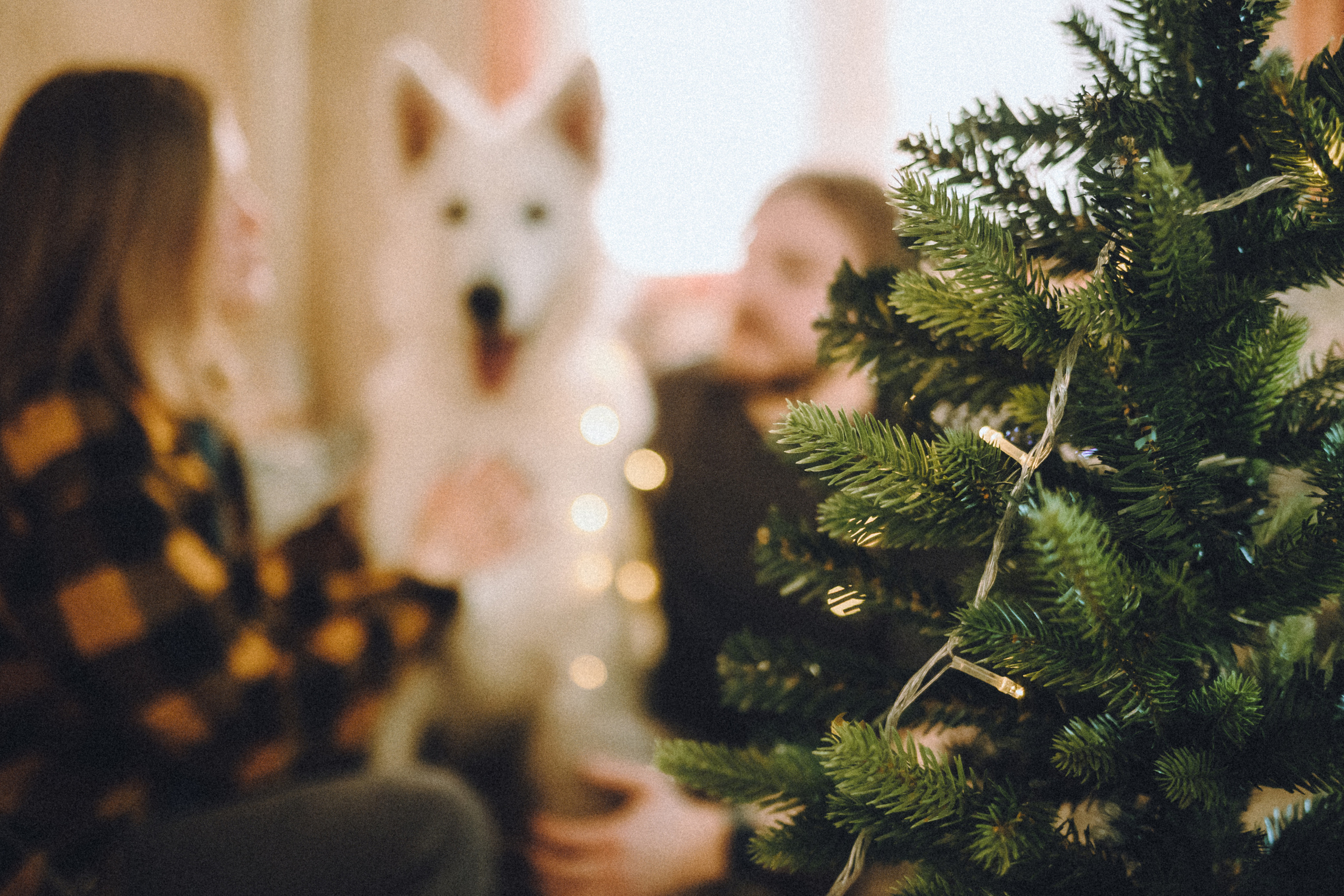 Оля, Саша и Юки