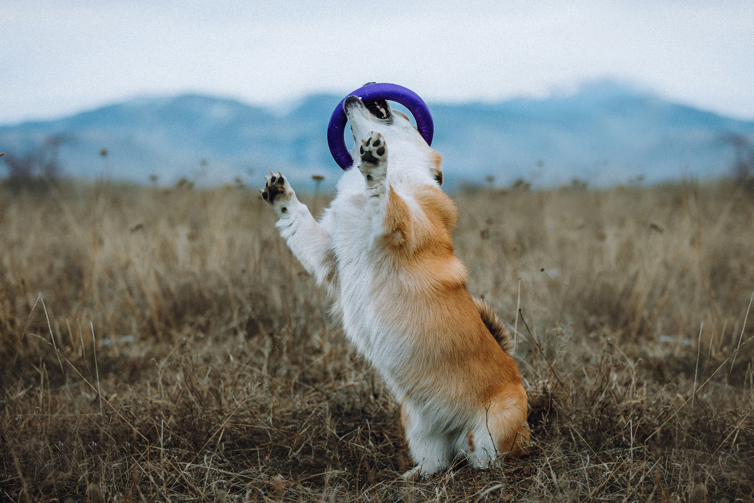 Маша, Женя и Дийкстра