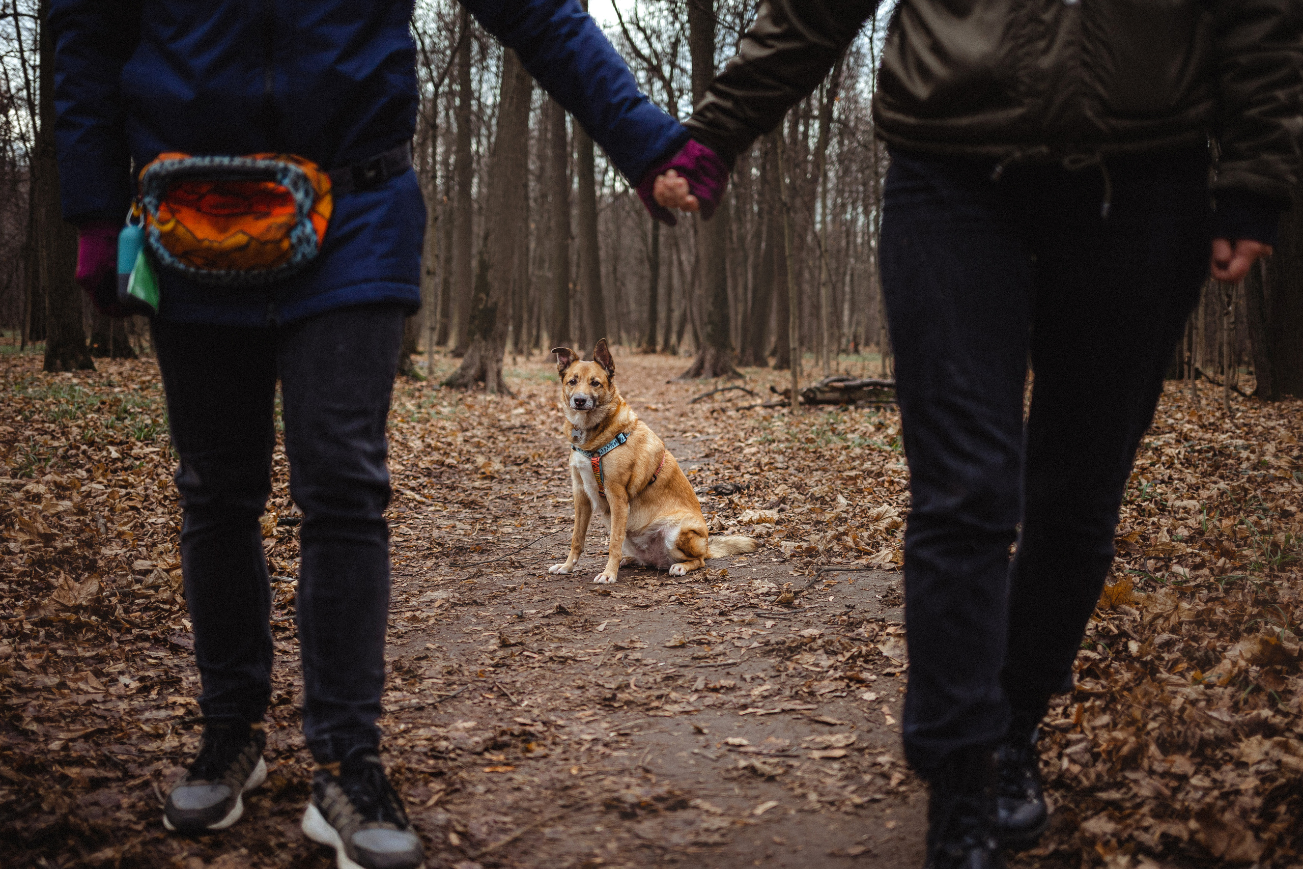 Лика и ее семья