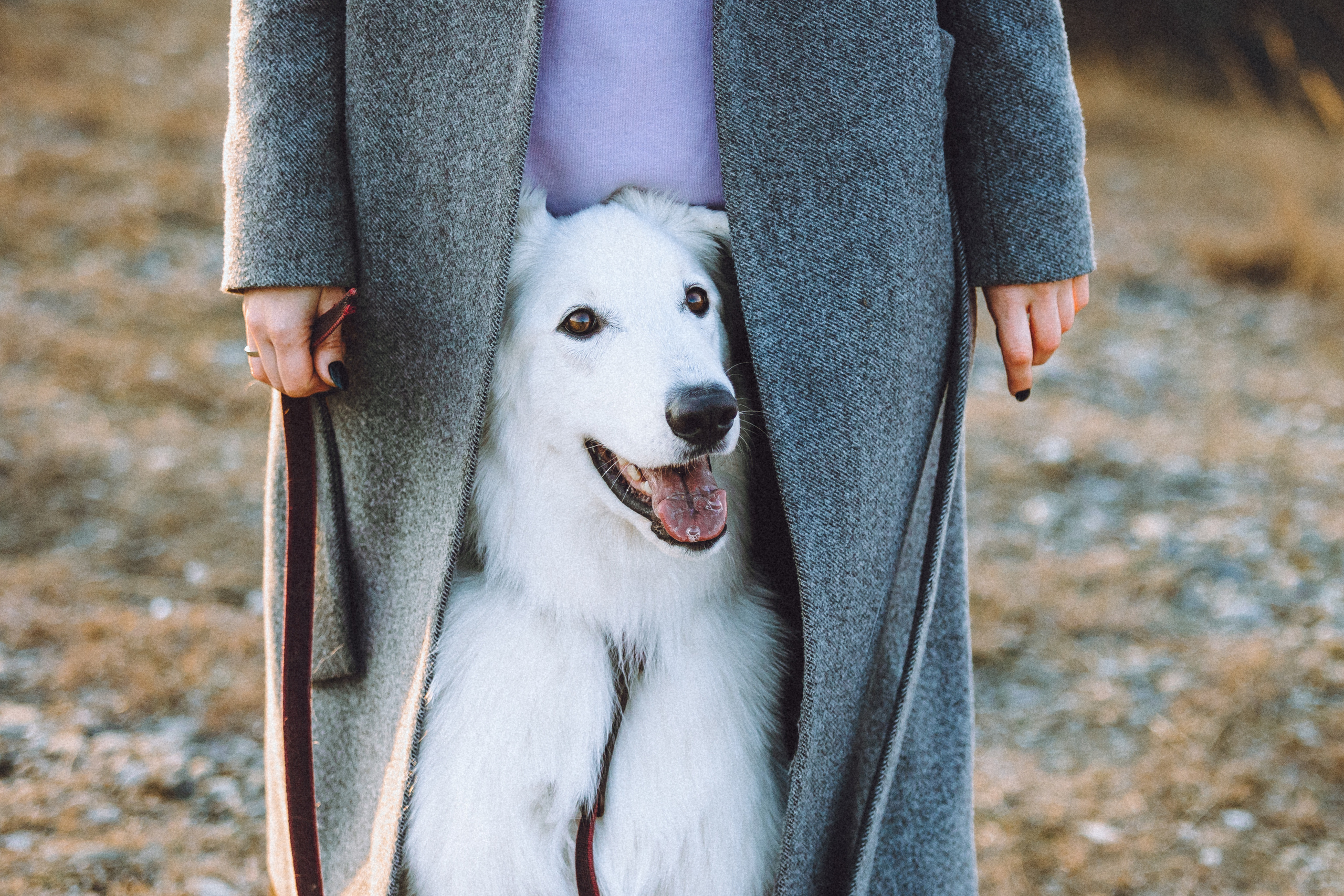 Оля, Саша и Юки