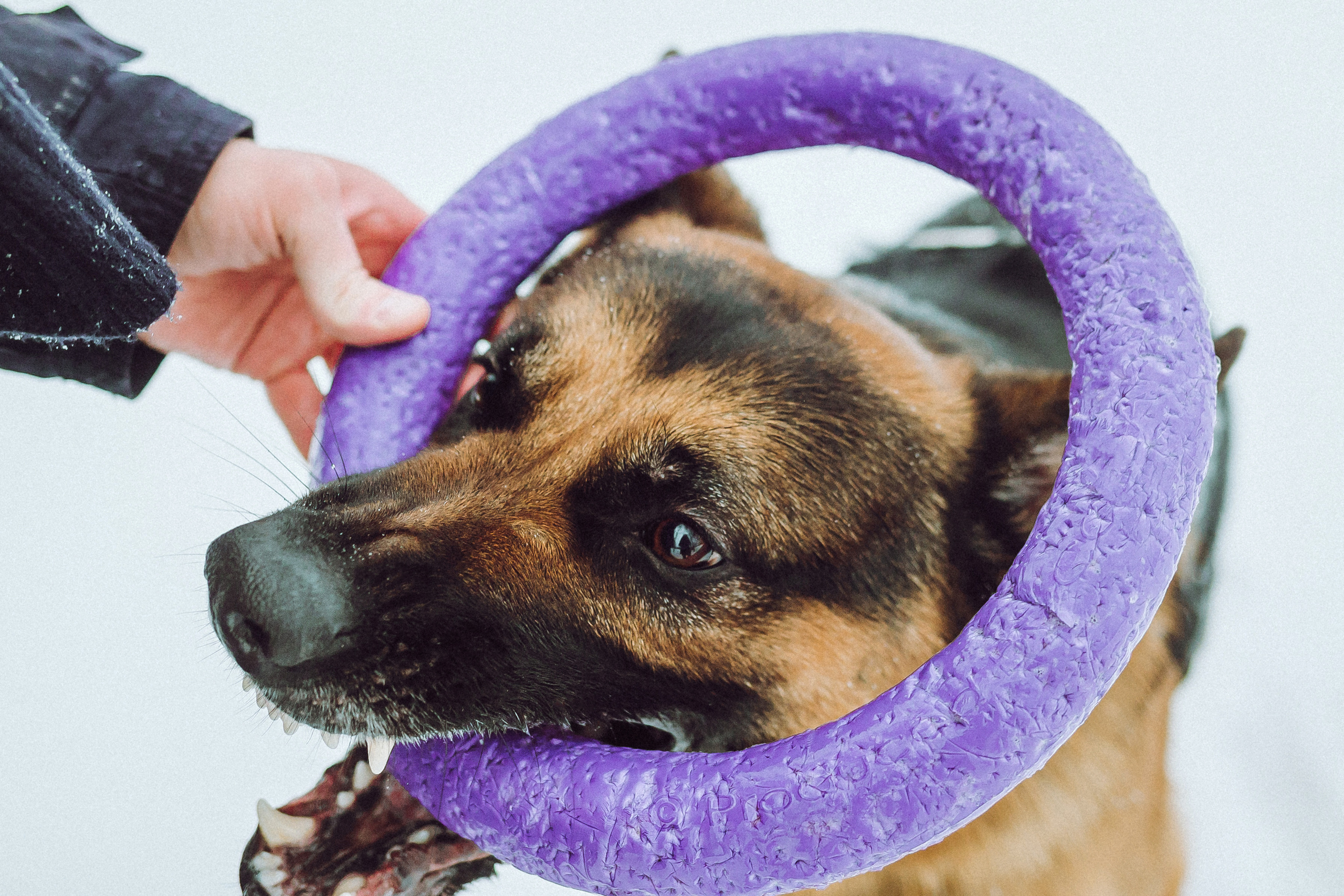 Джим, Лила и их семья