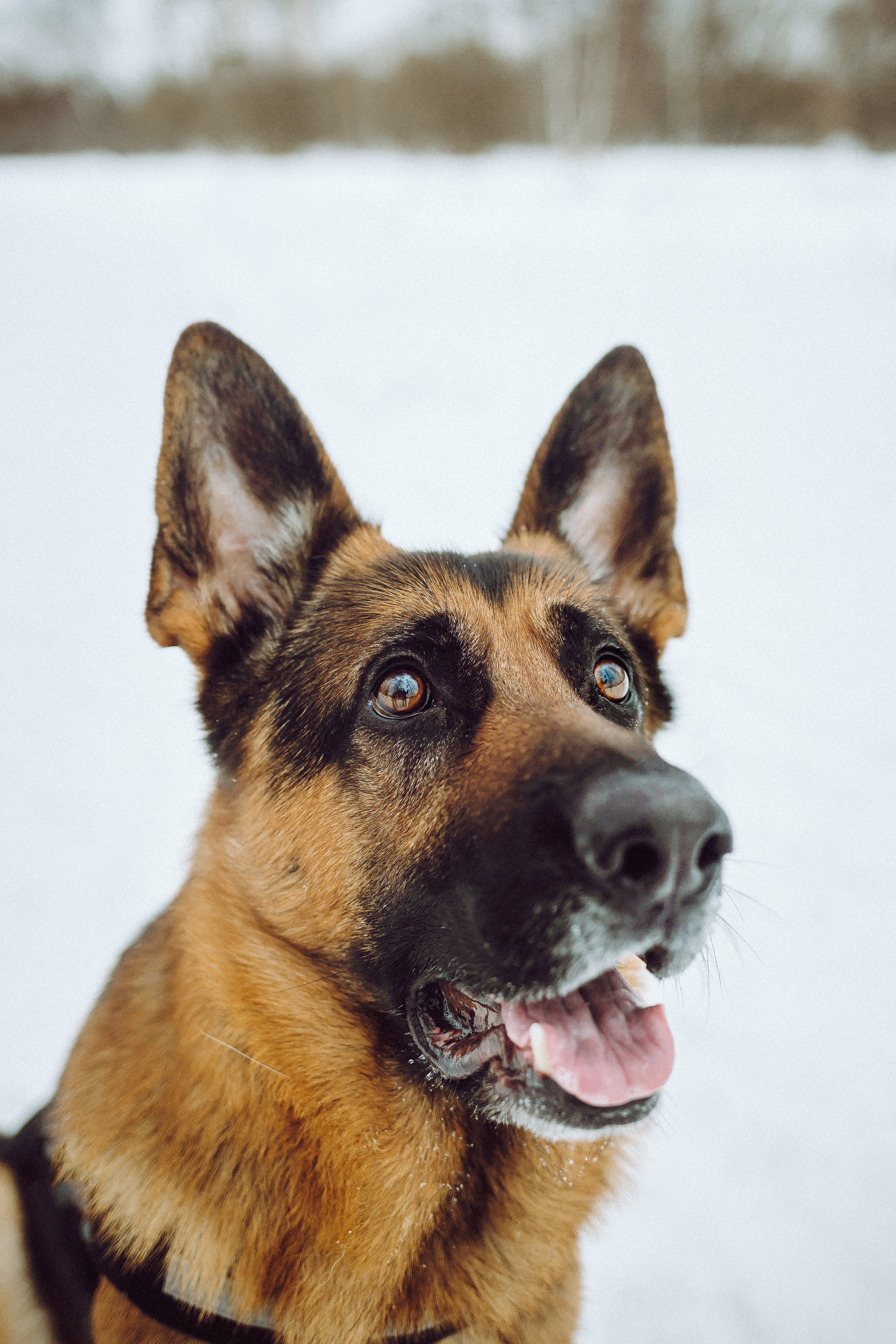 Джим, Лила и их семья