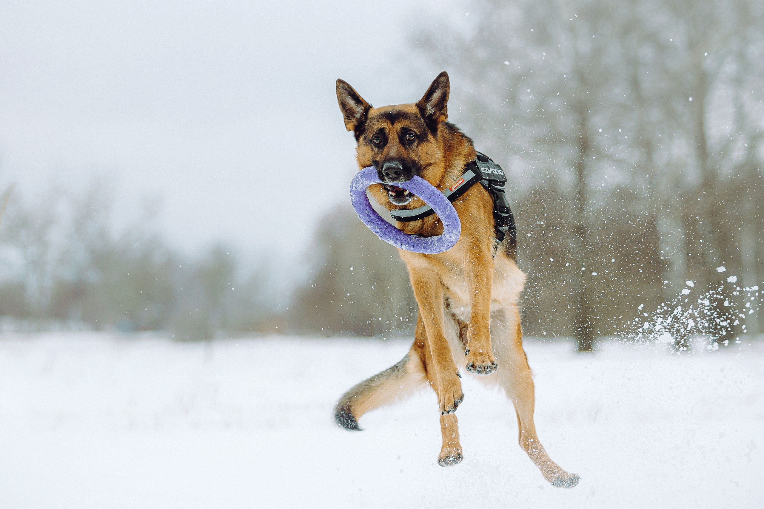 Джим, Лила и их семья