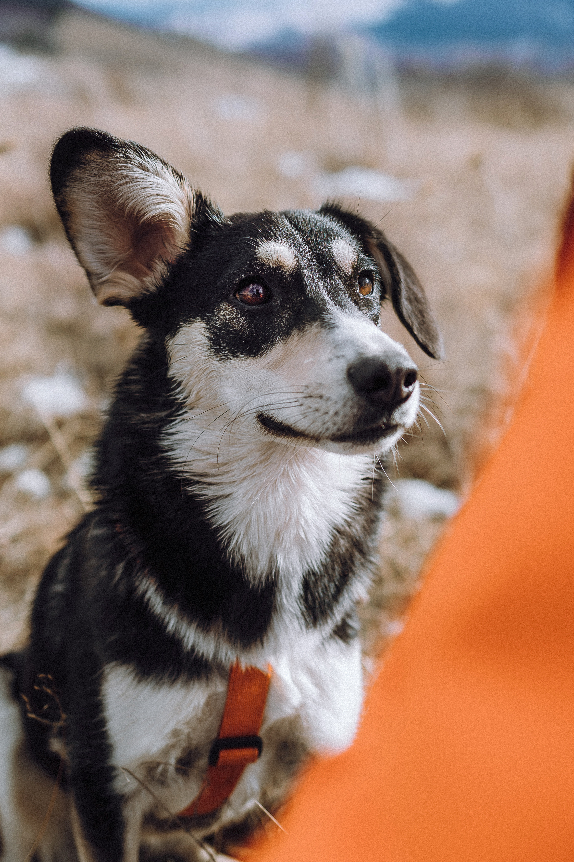 Йаррхи, Антар и их семья