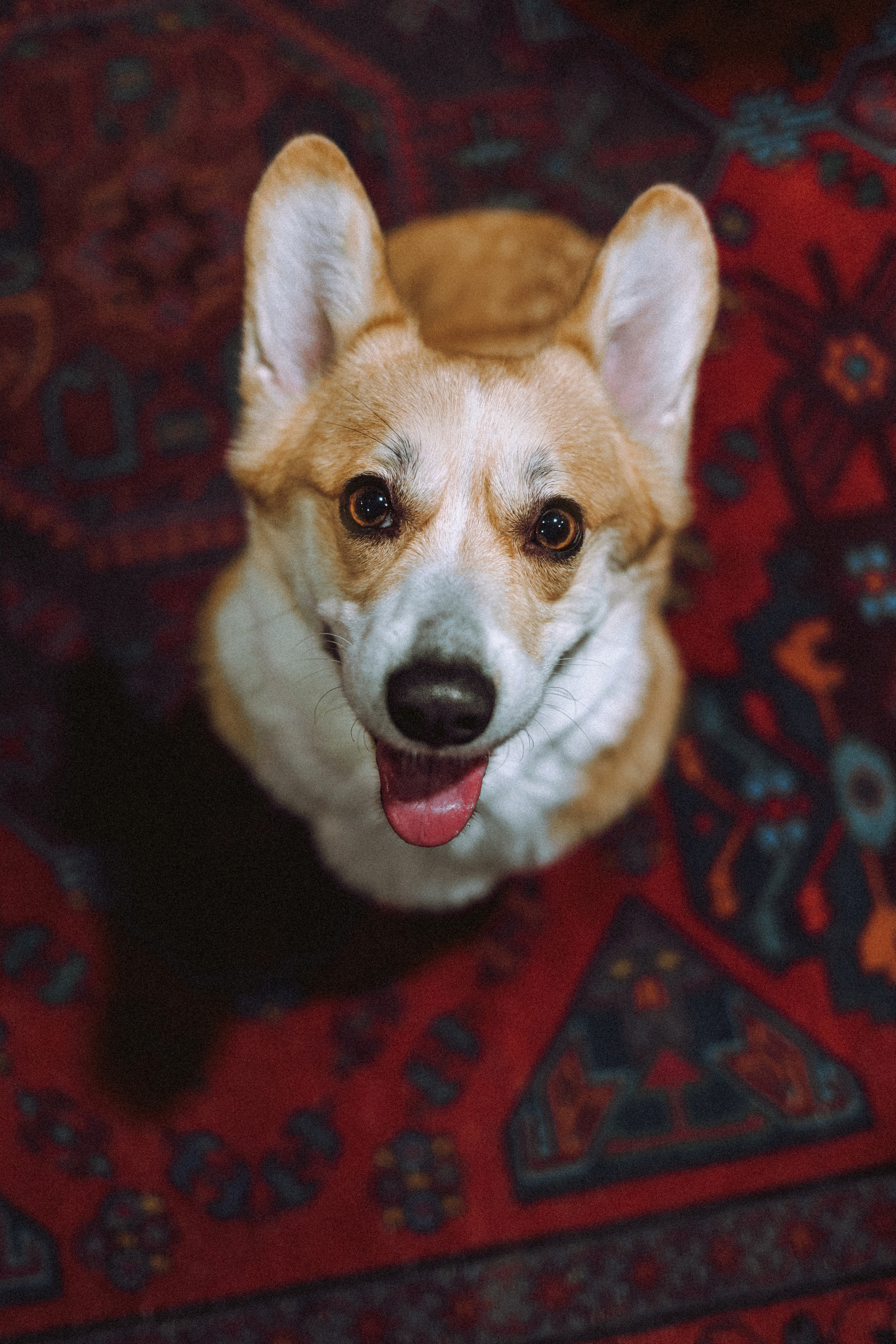 Настя и Ева