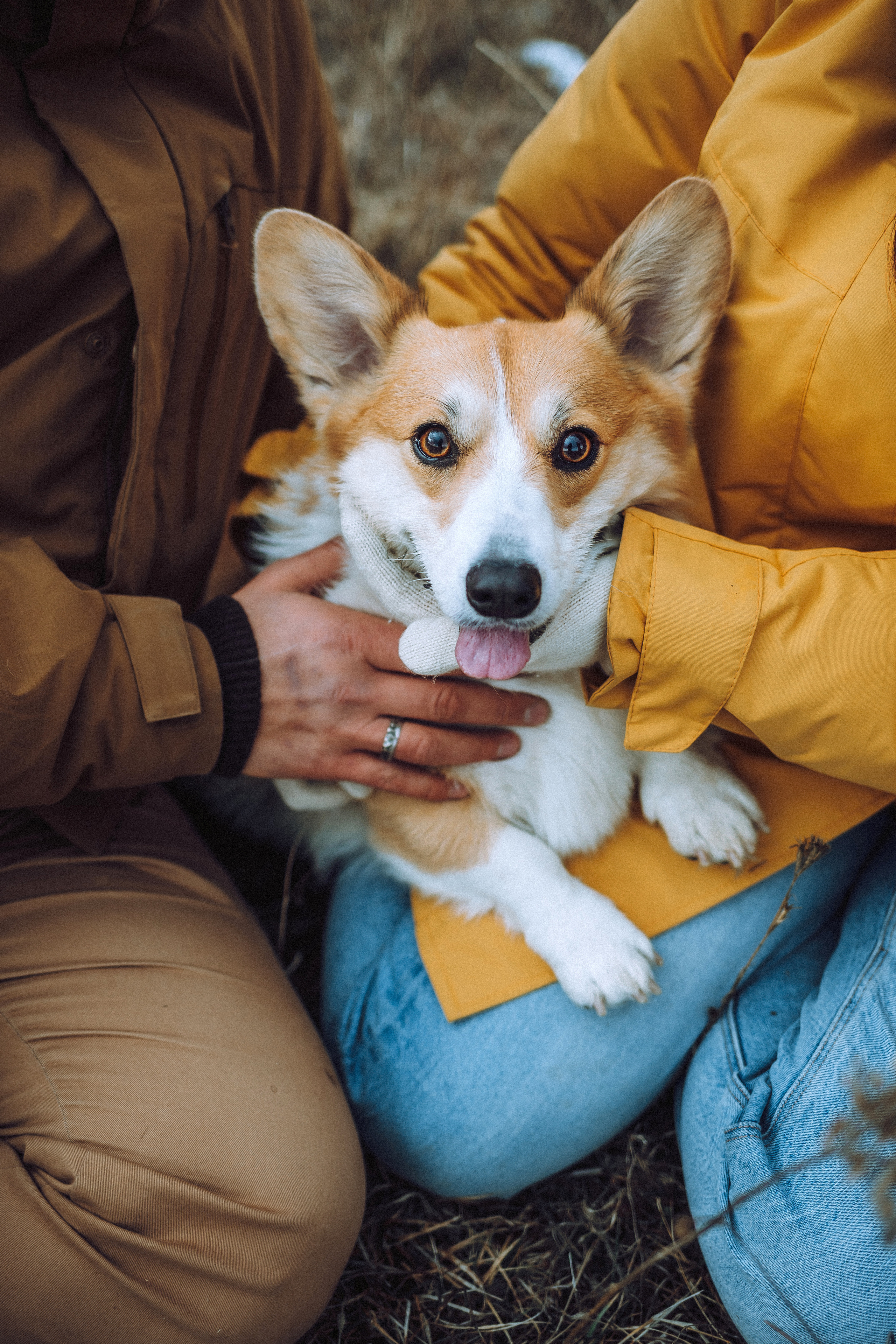 Маша, Женя и Дийкстра
