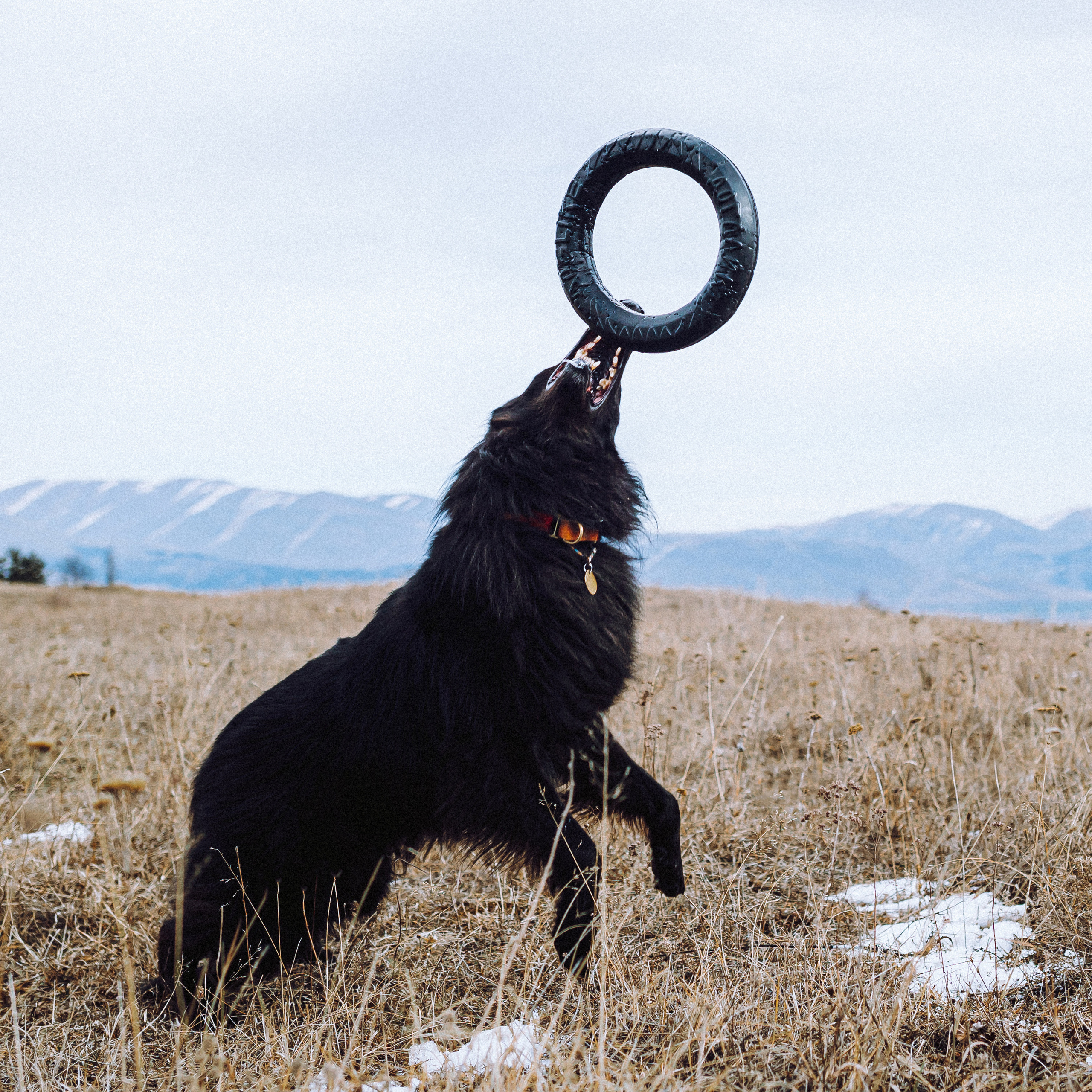 Йаррхи, Антар и их семья
