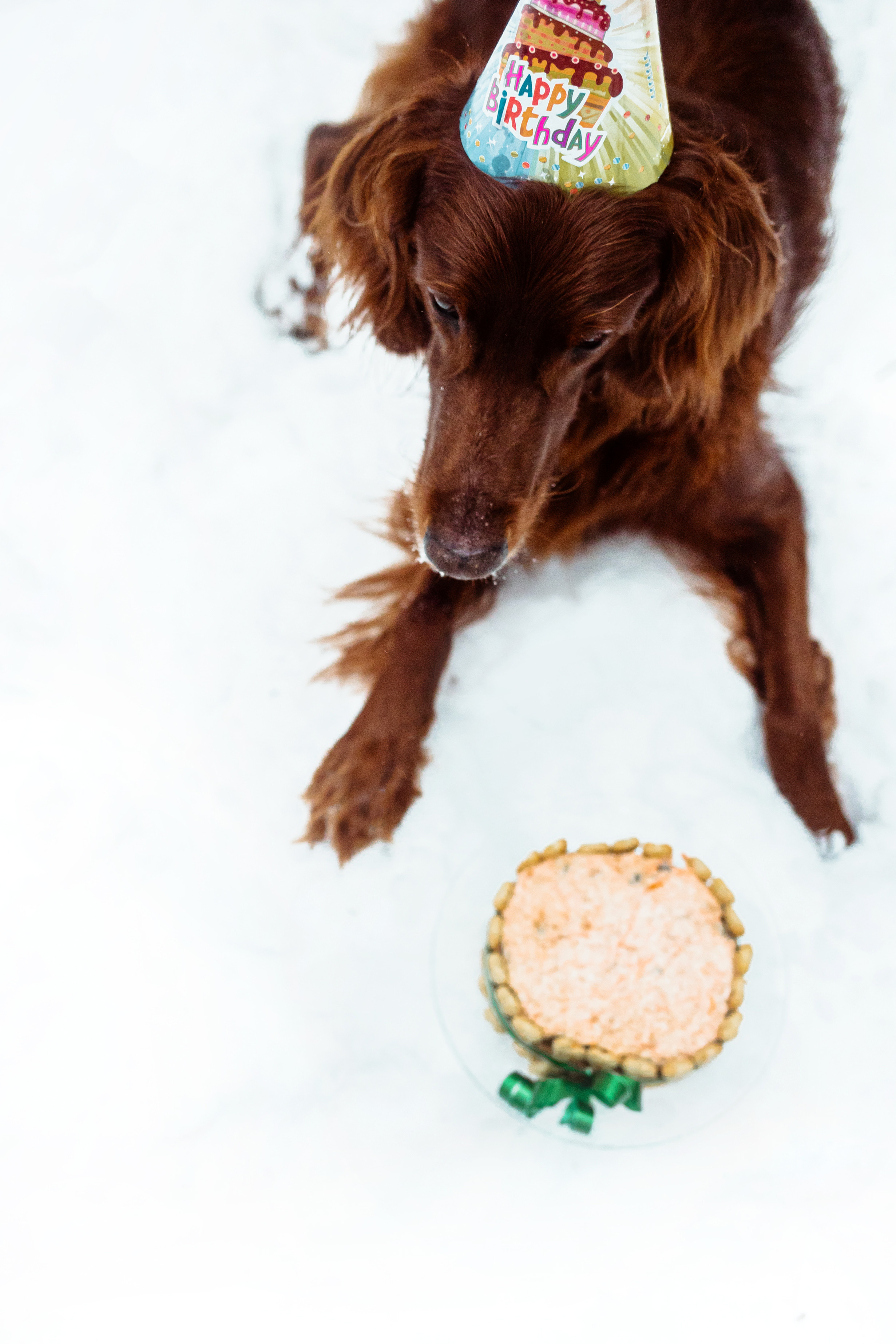 День Рождения Джерри
