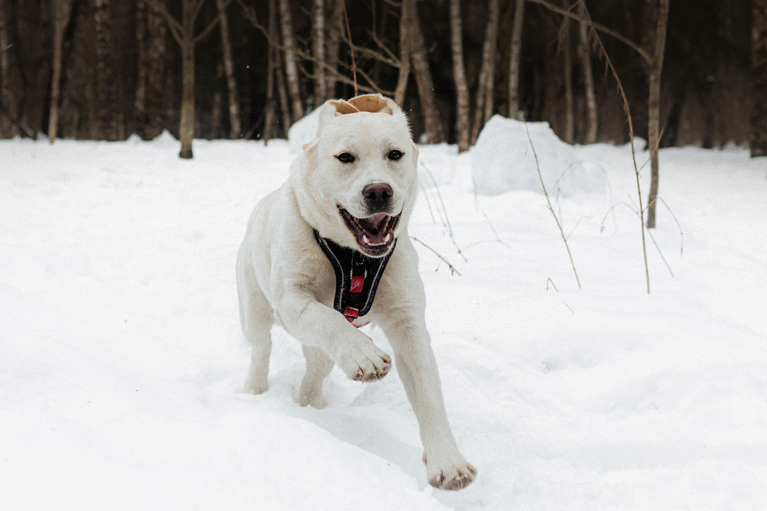 Челси и ее семья