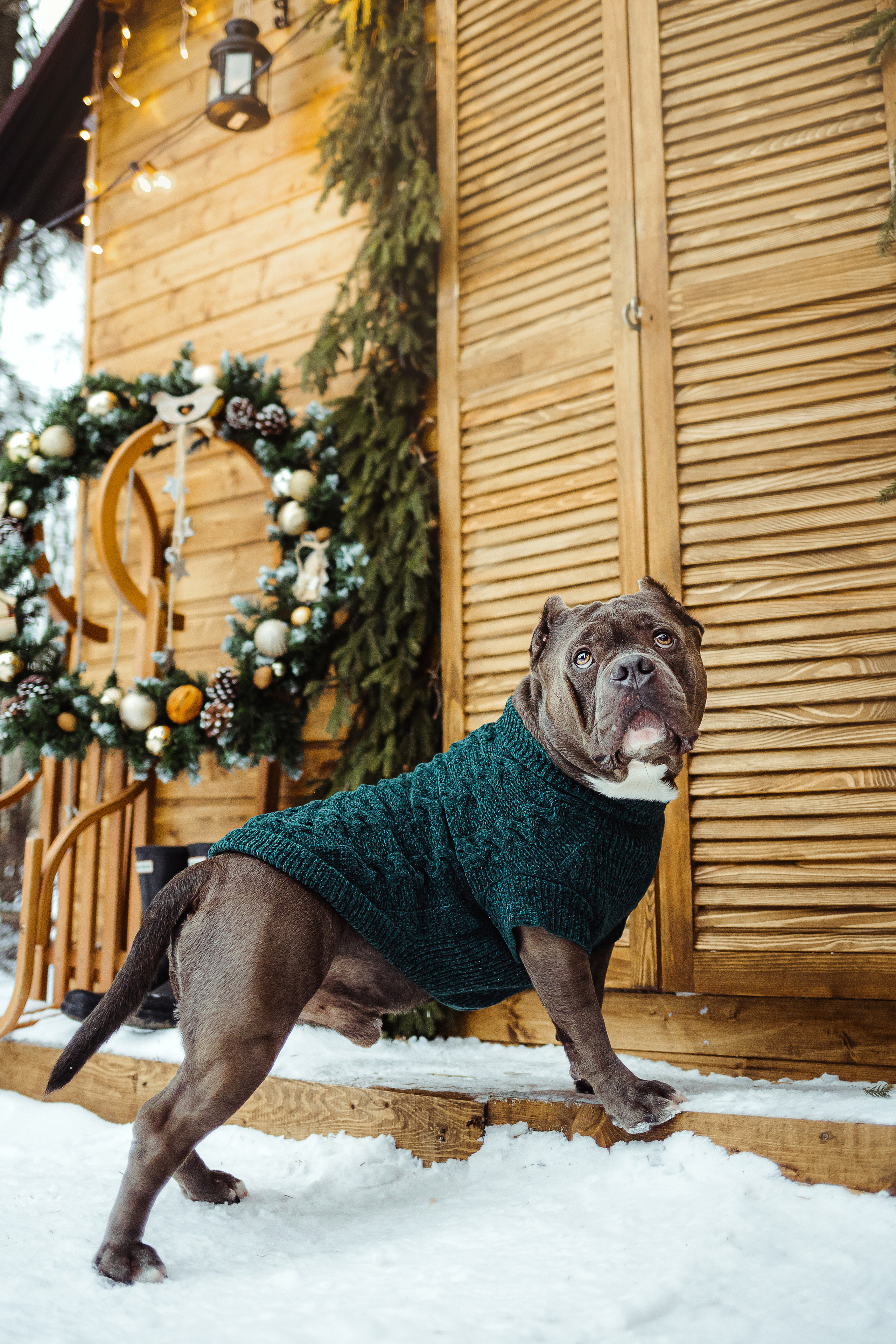 Маша и Халк