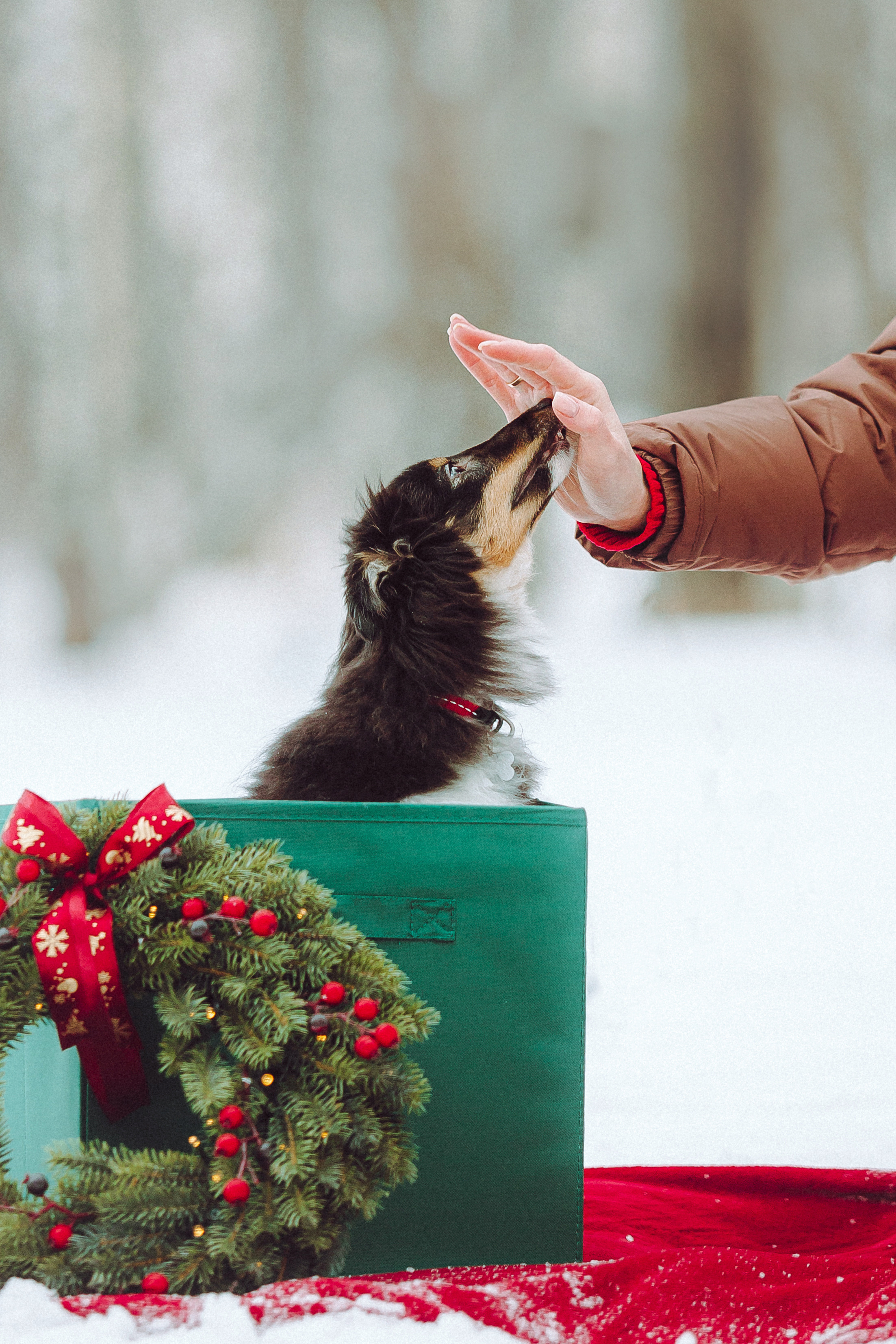 Джим, Лила и их семья