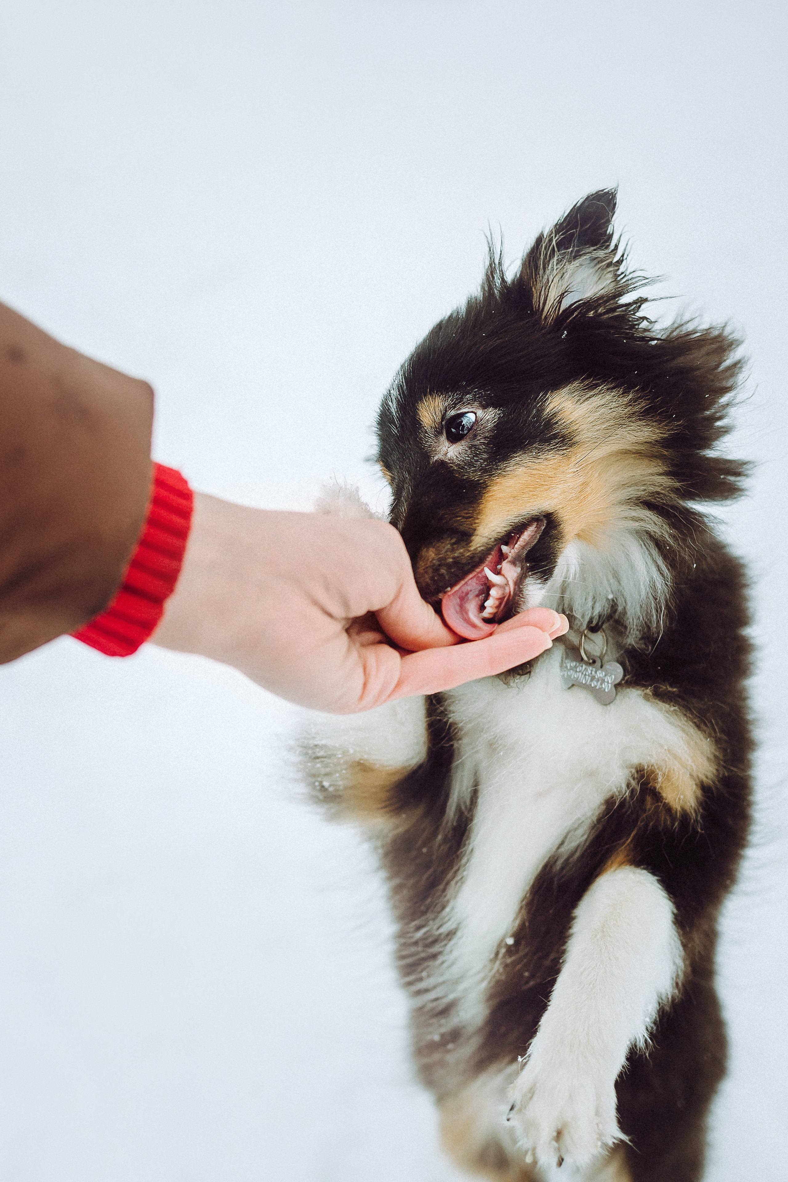 Джим, Лила и их семья