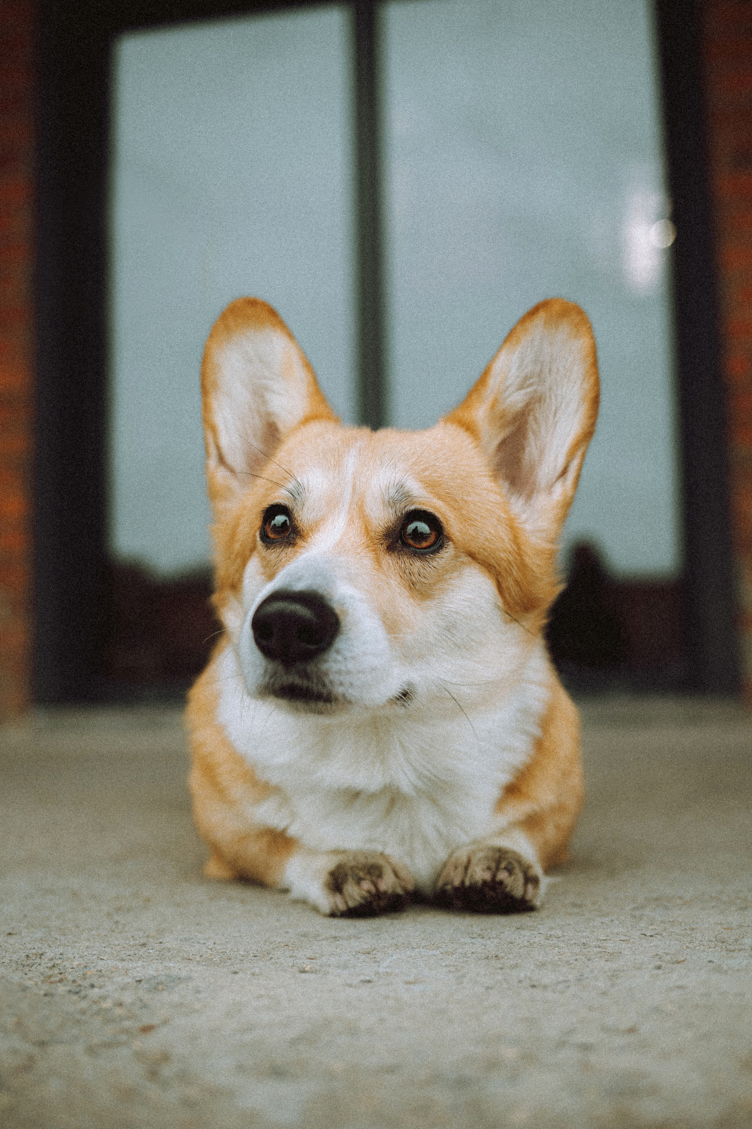 Настя и Ева