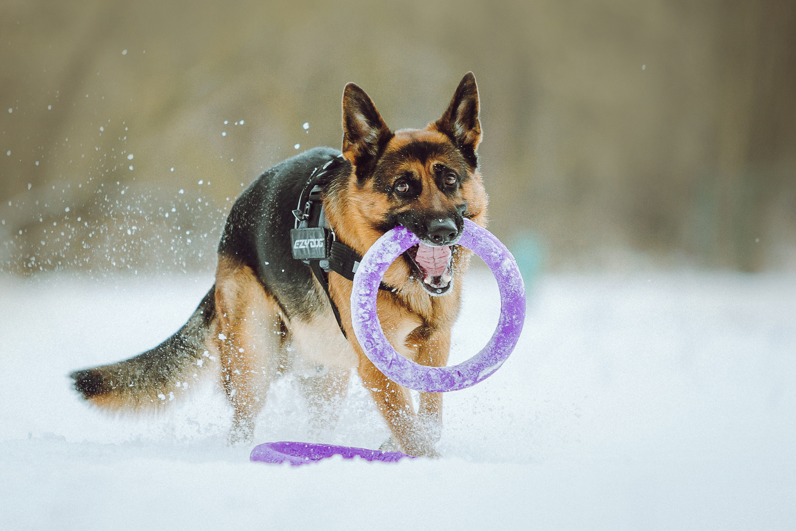 Джим, Лила и их семья