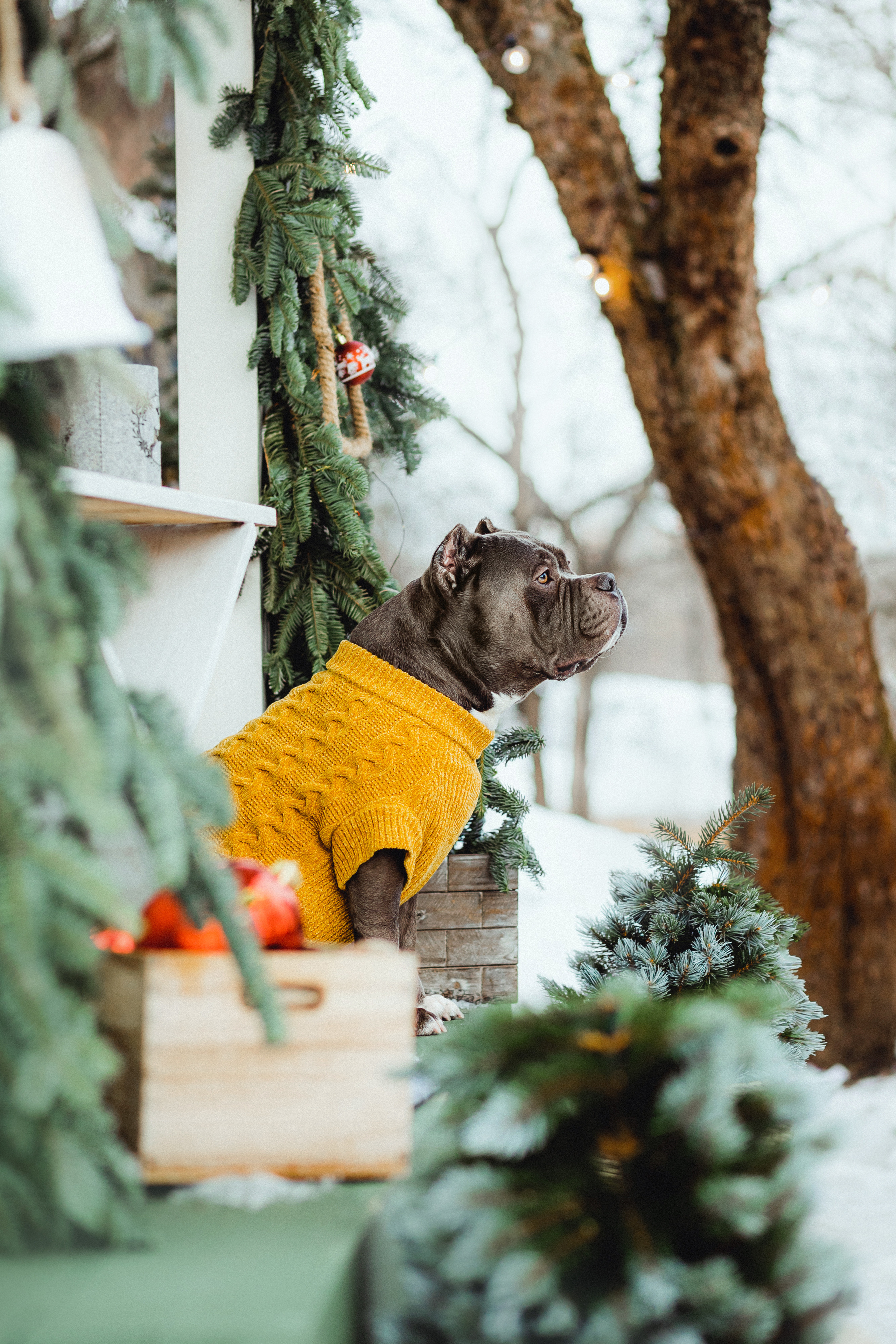 Маша и Халк