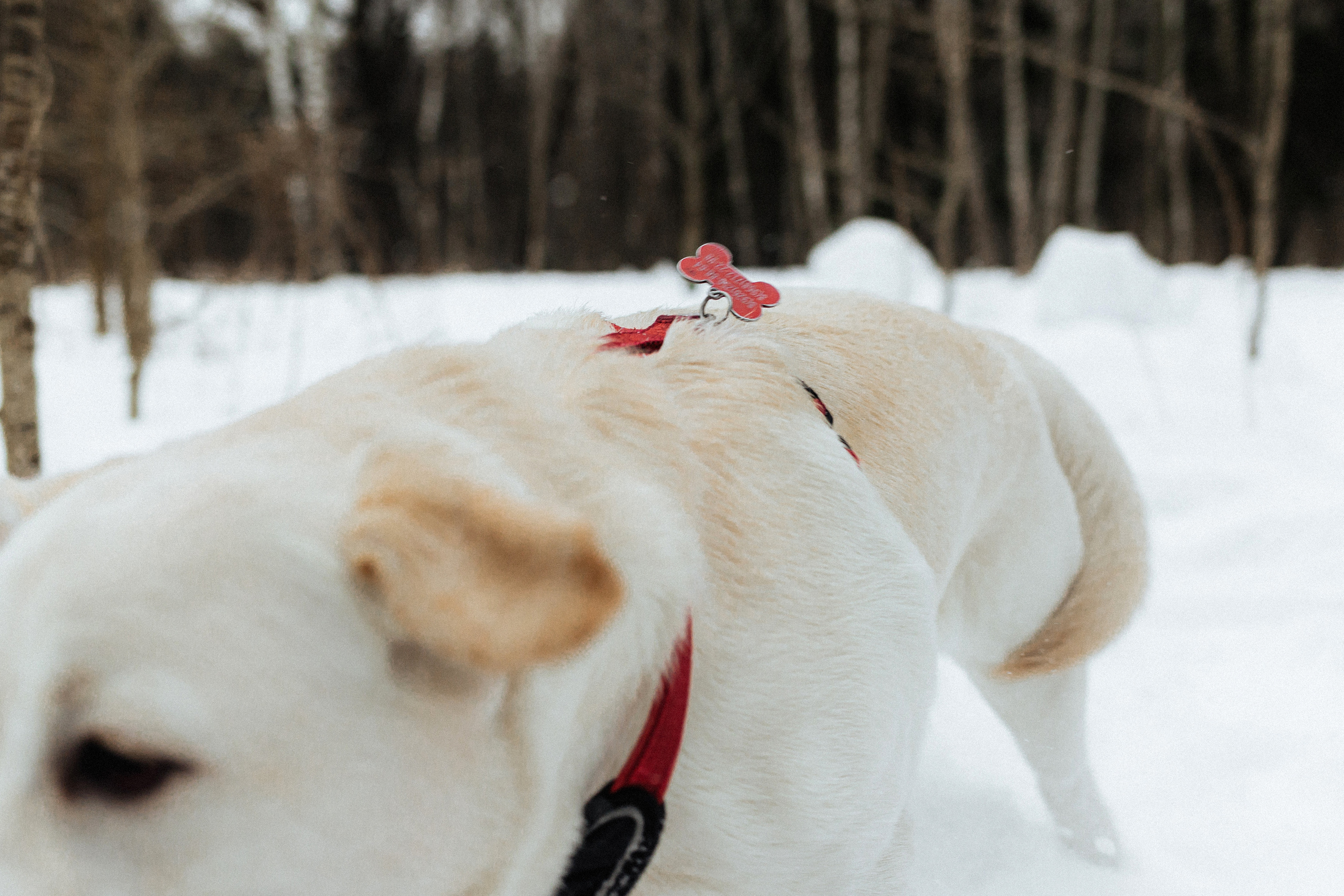 Челси и ее семья