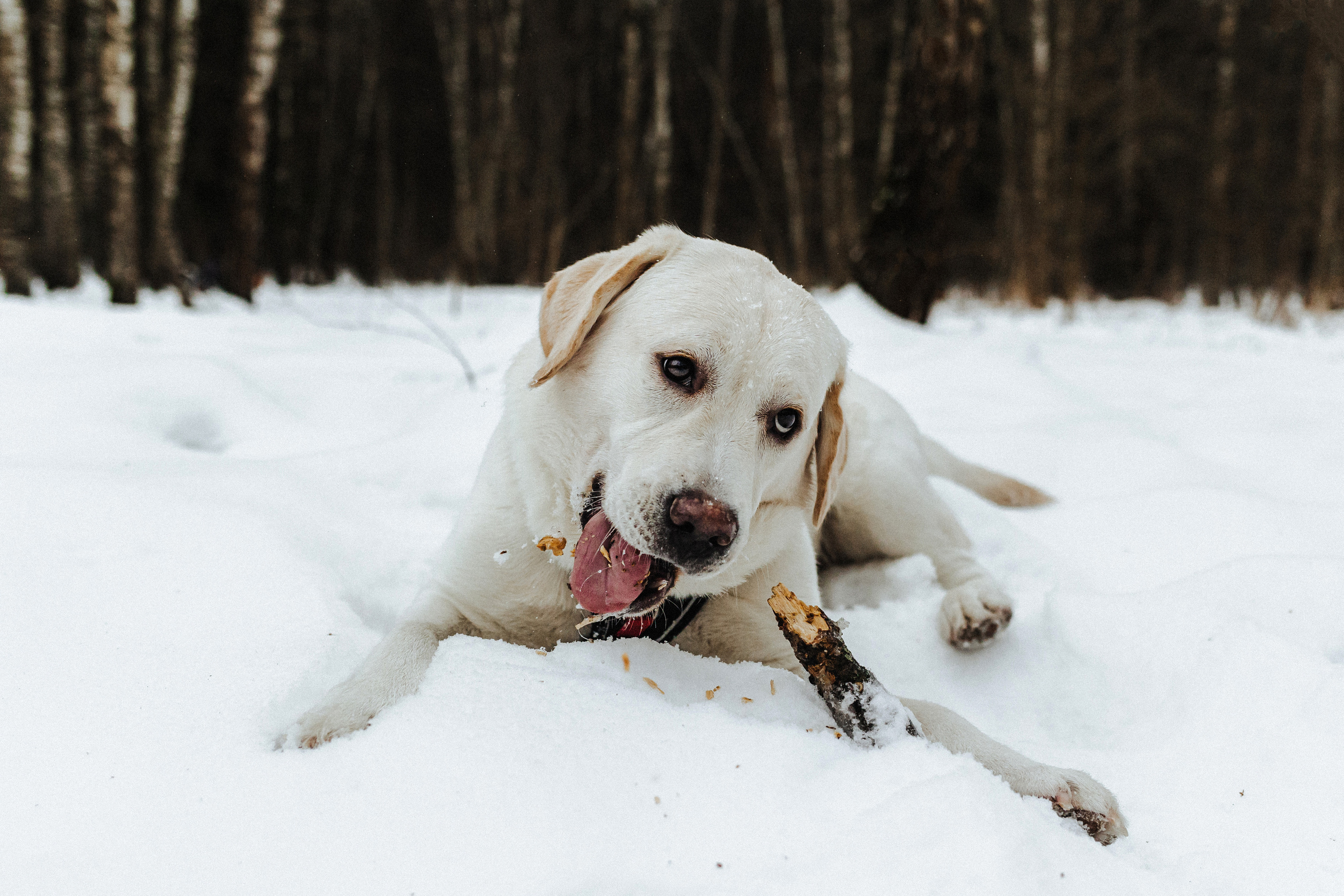 Челси и ее семья