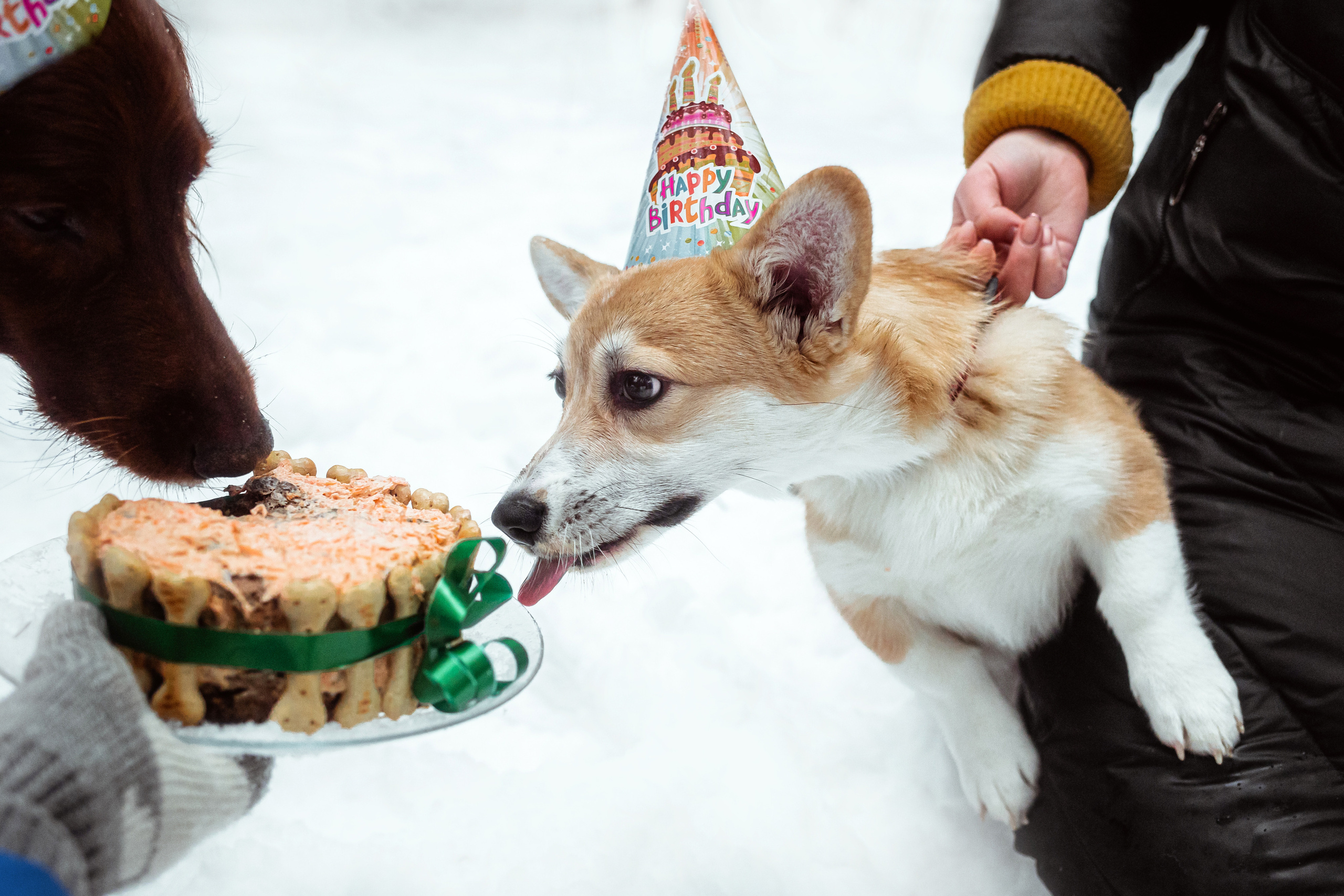 День Рождения Джерри