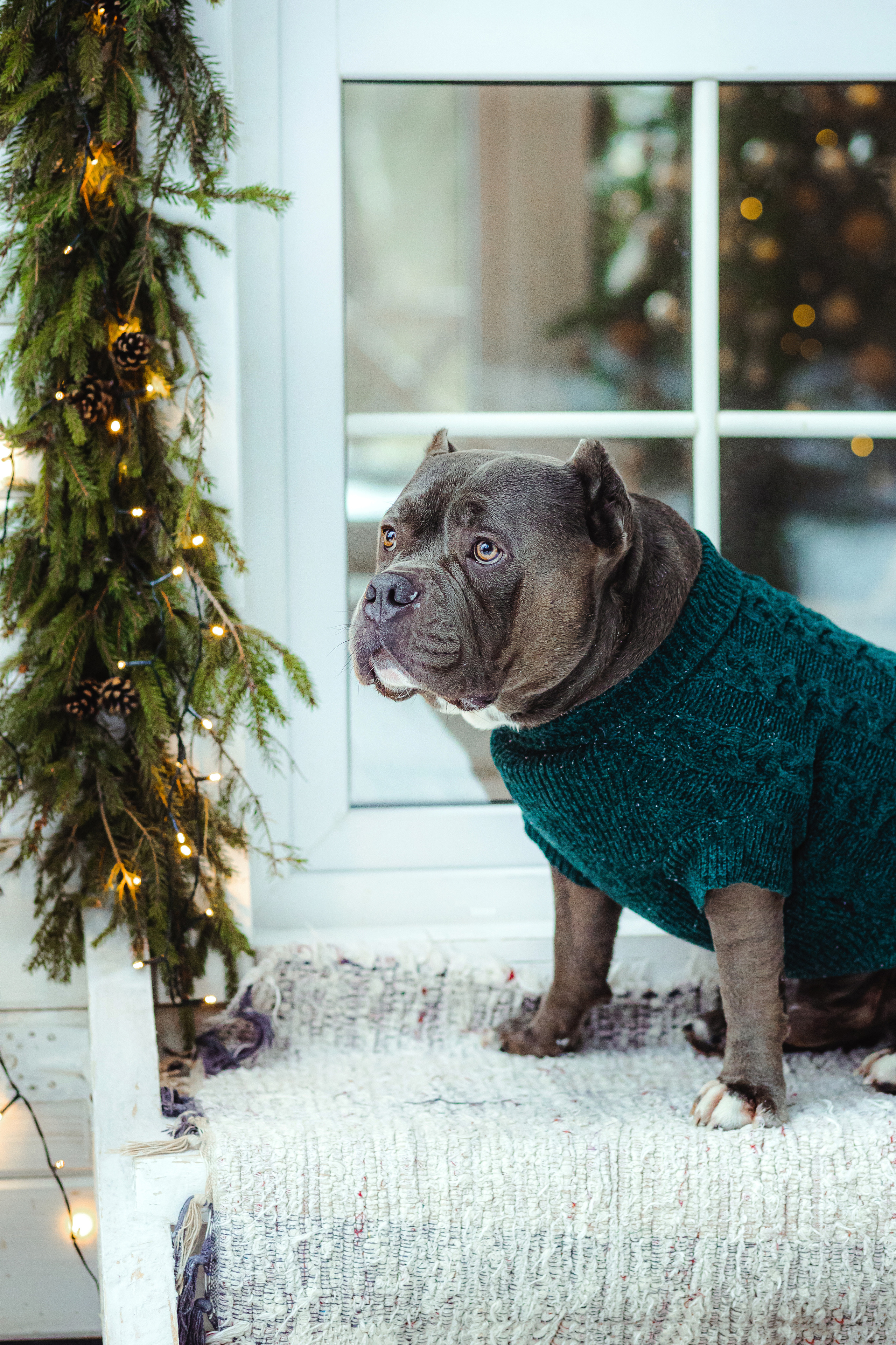 Маша и Халк