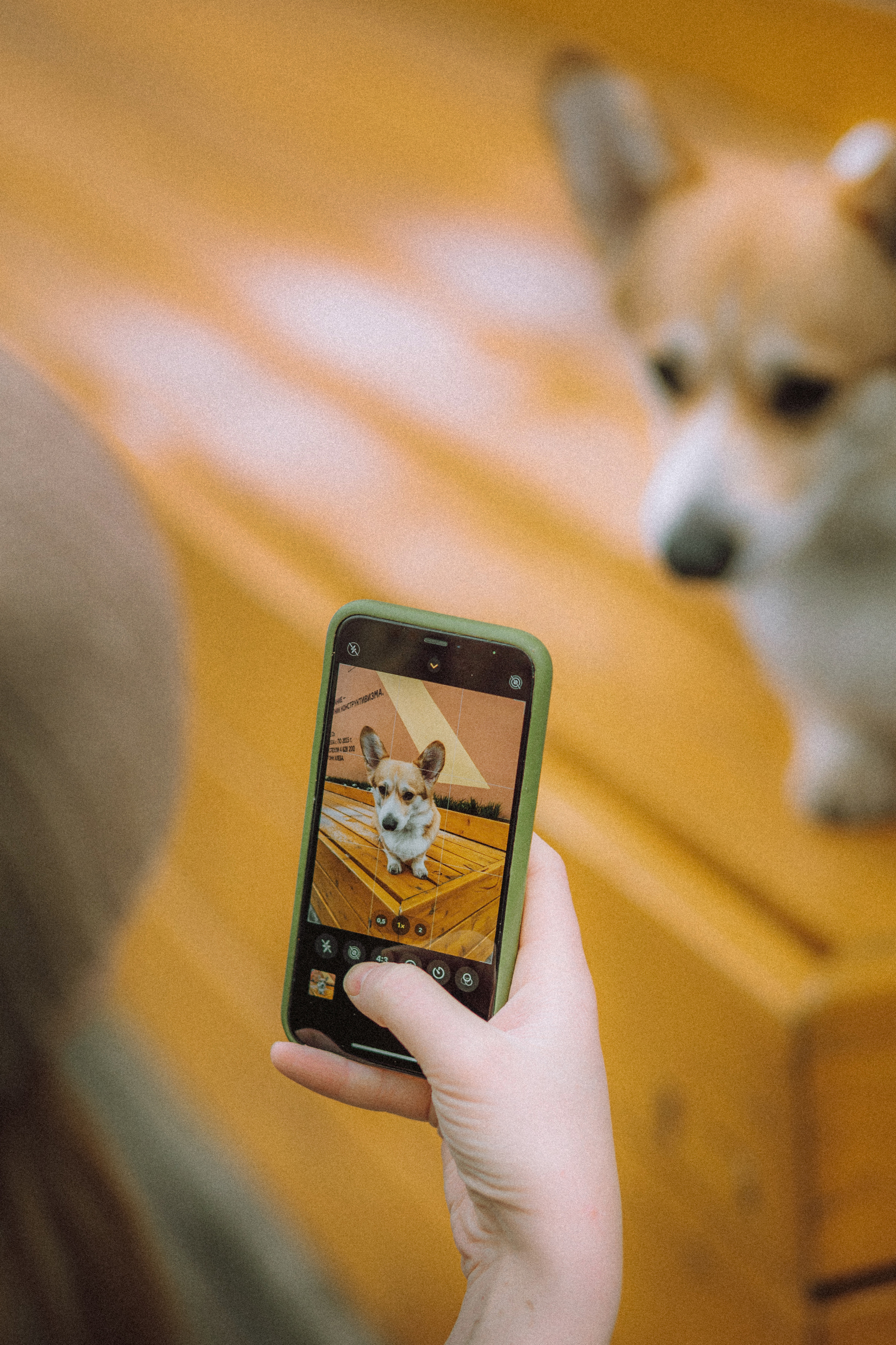 Настя и Ева