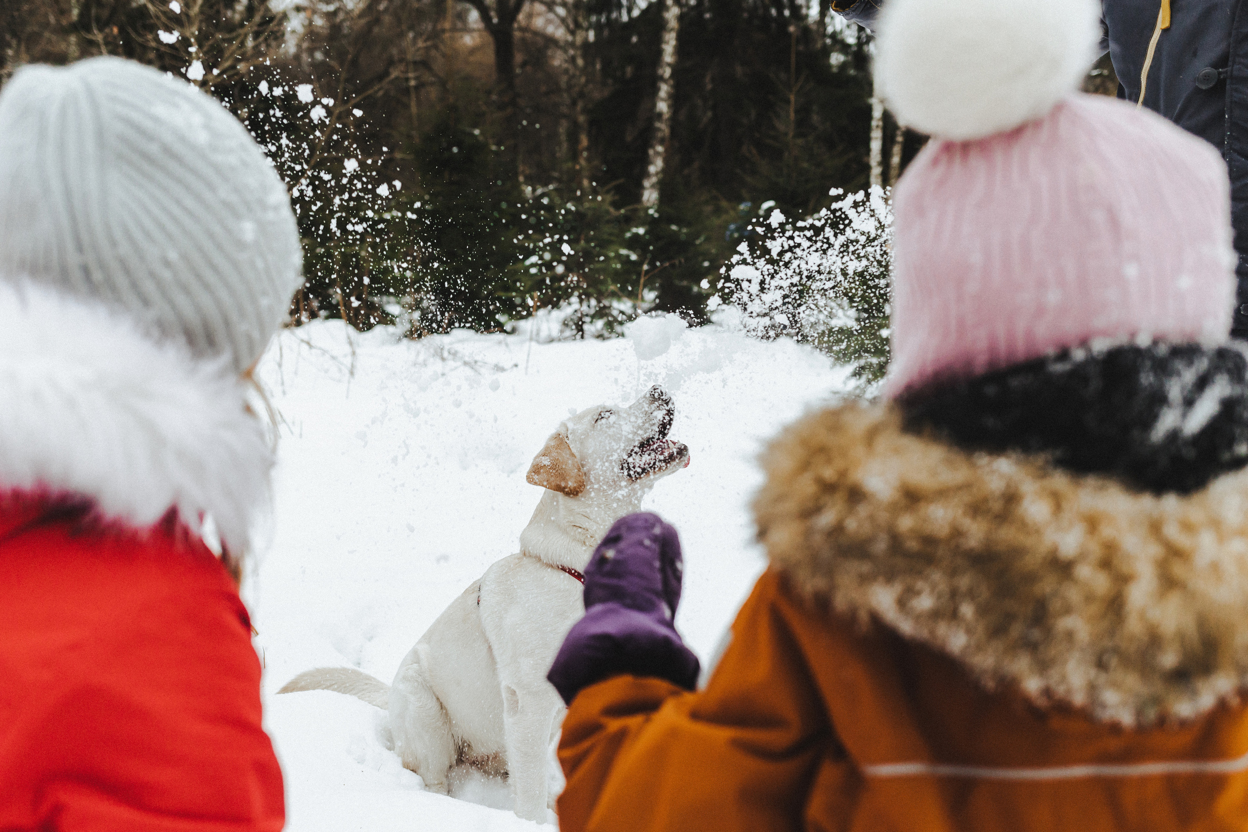 Челси и ее семья