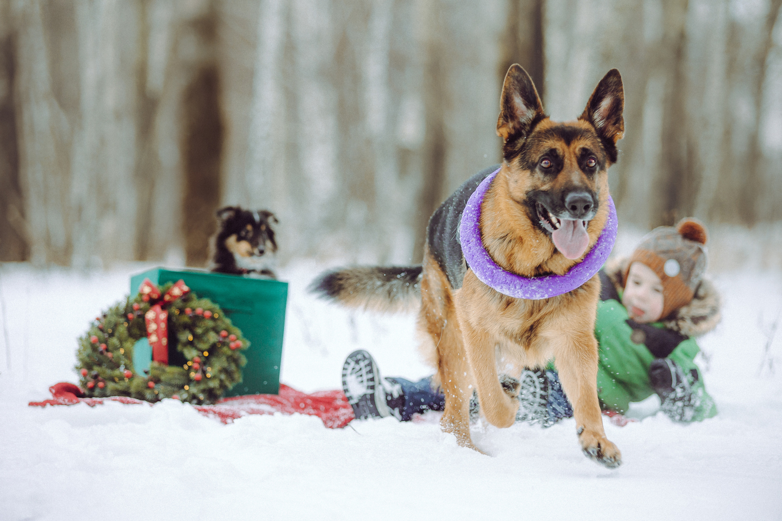 Джим, Лила и их семья