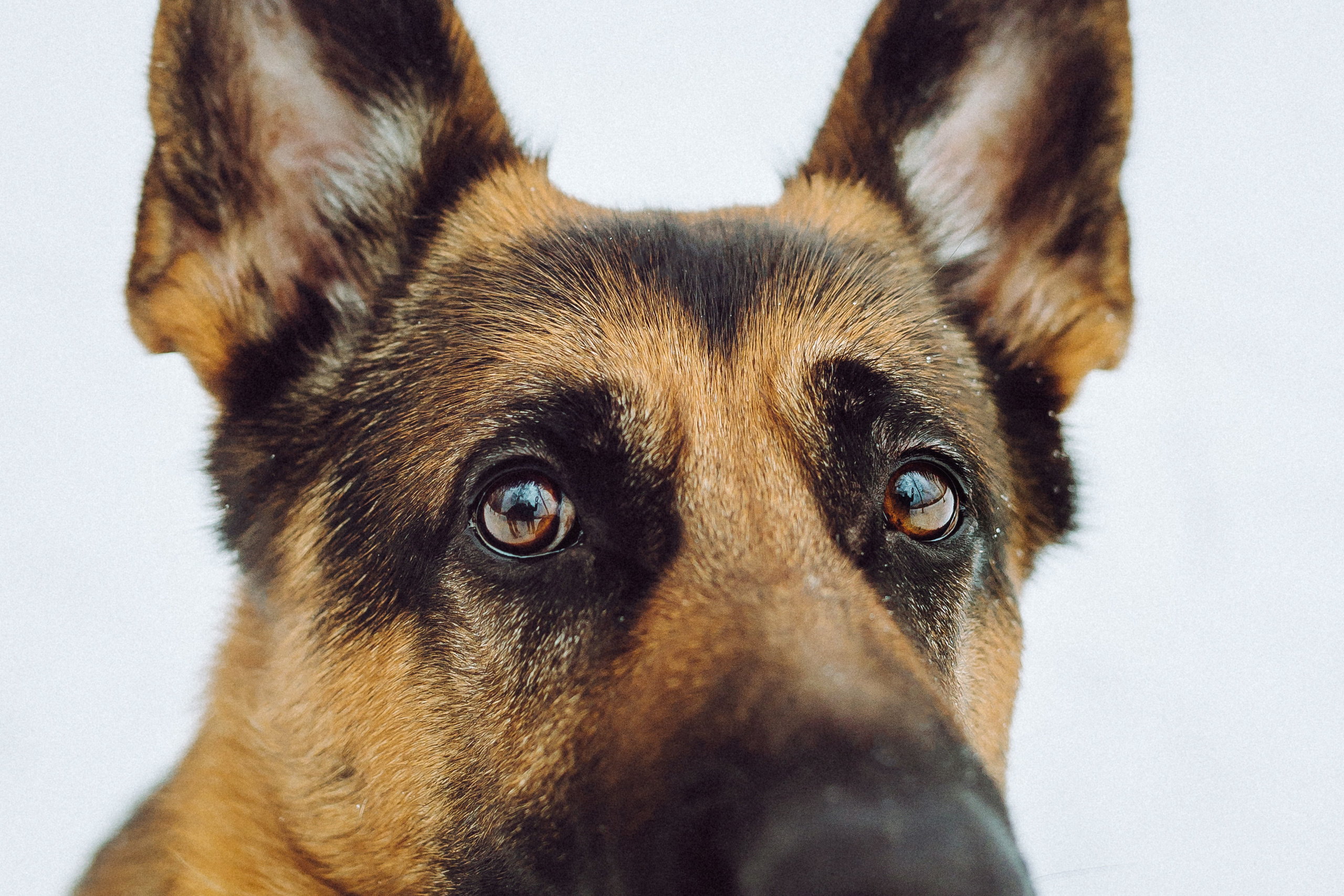 Джим, Лила и их семья