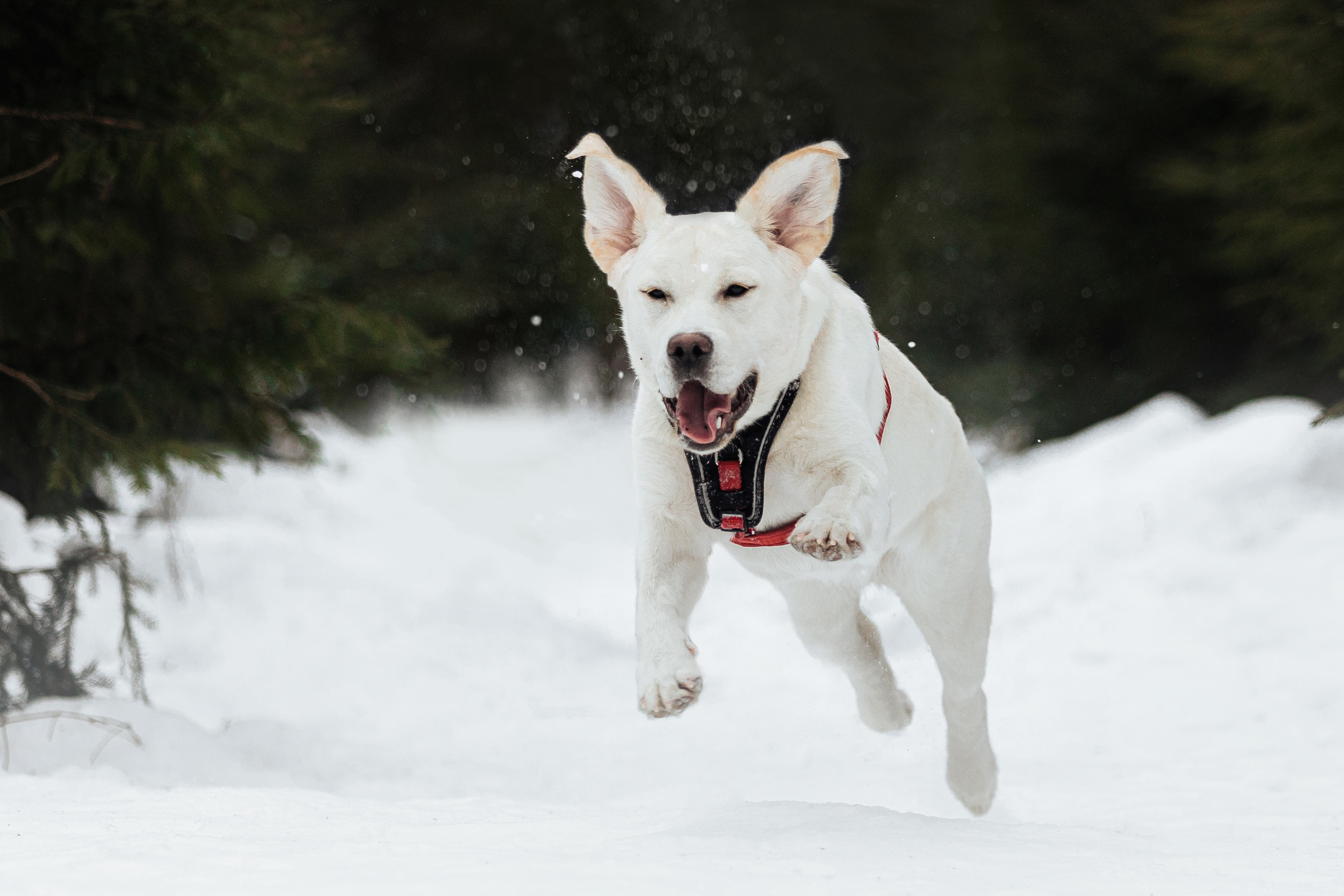 Челси и ее семья