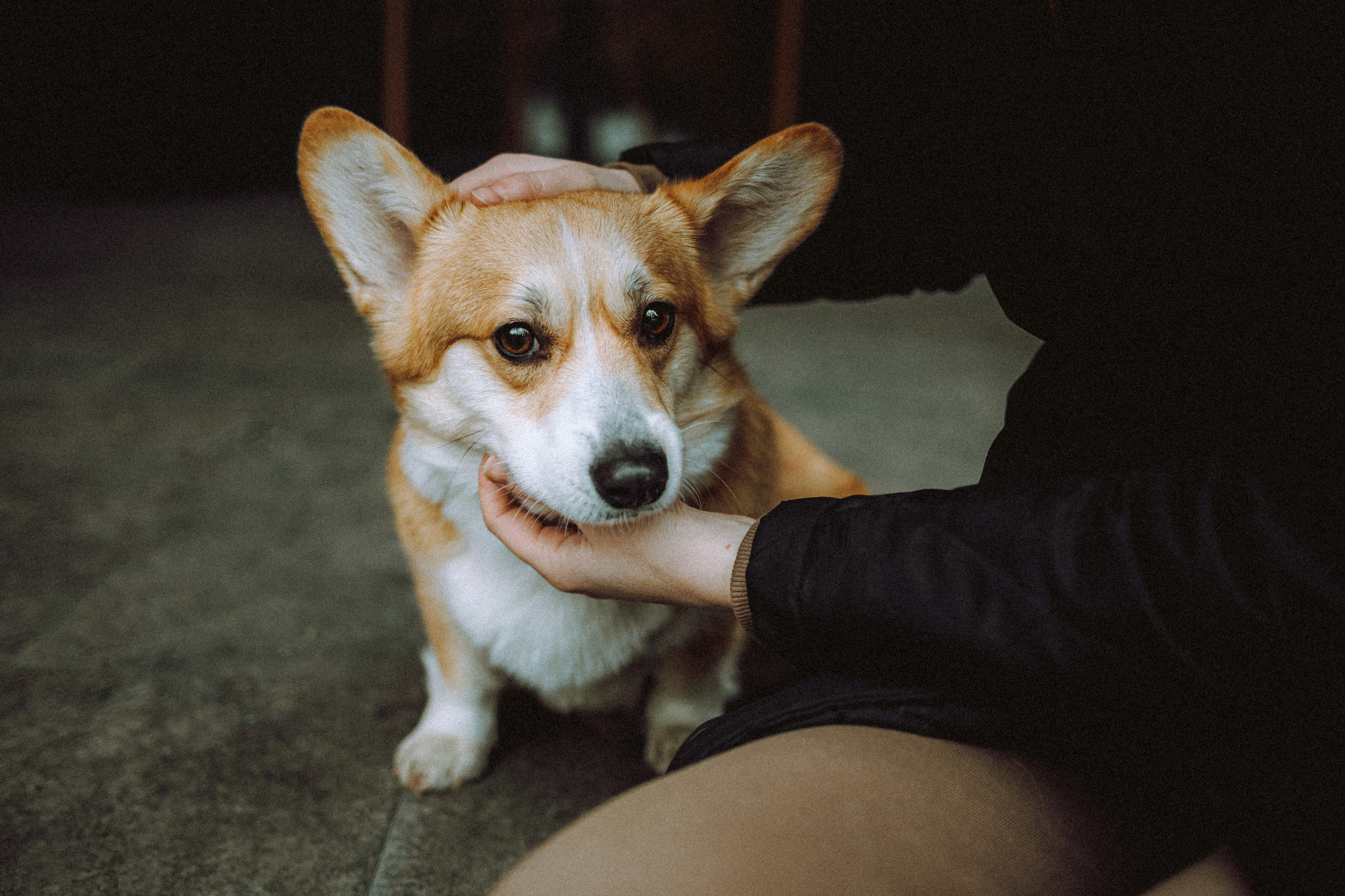 Настя и Ева