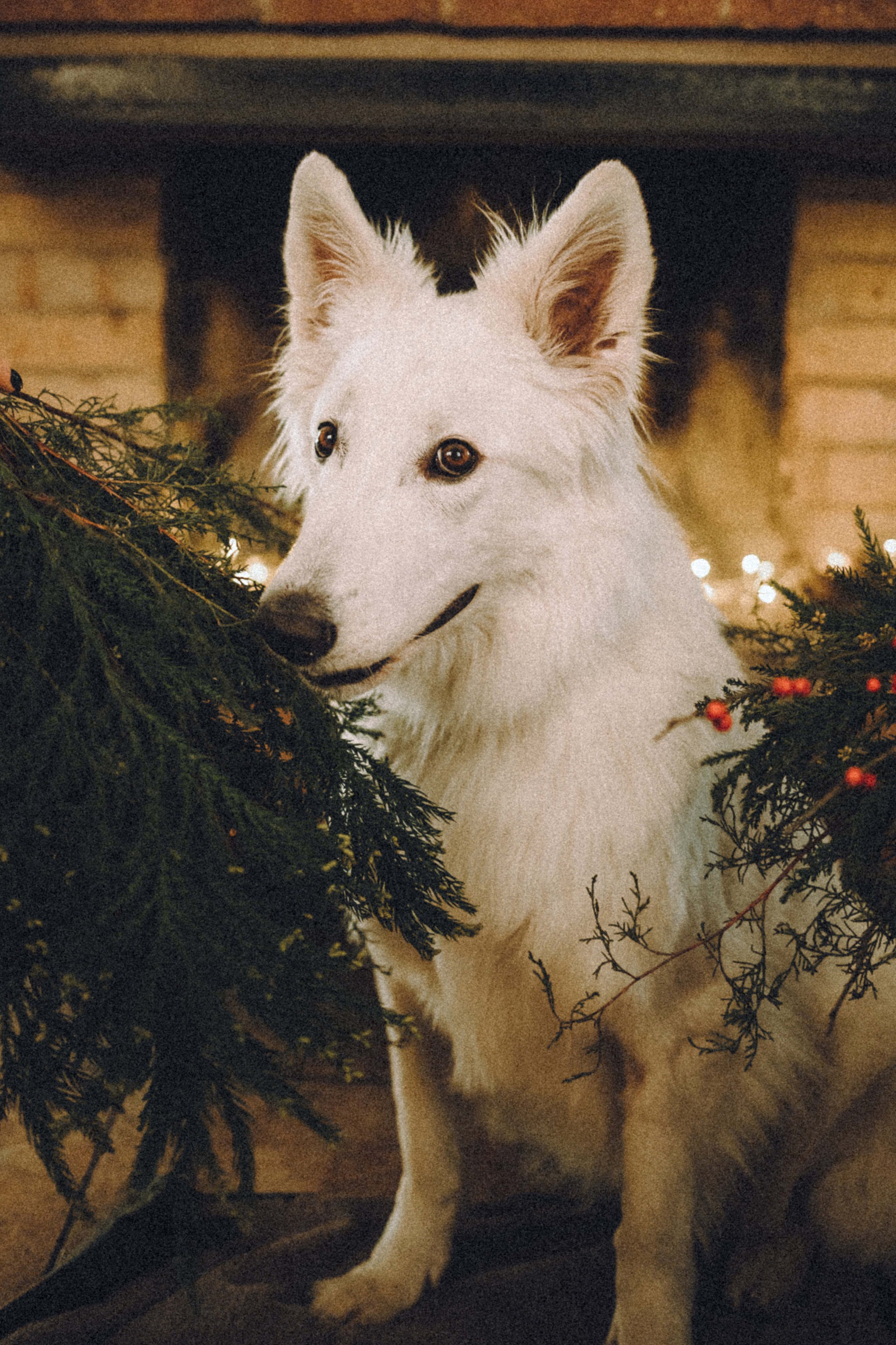 Оля, Саша и Юки