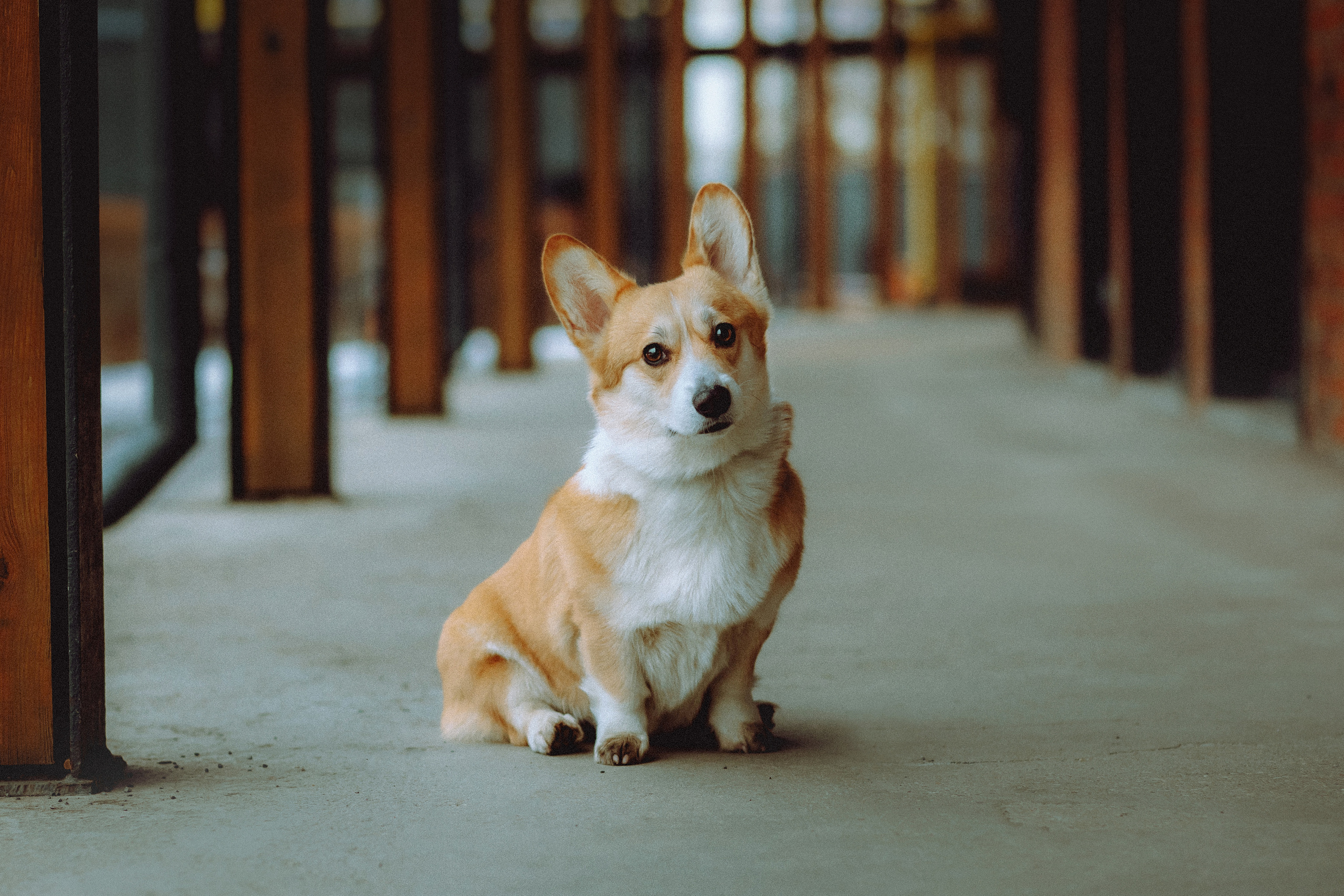 Настя и Ева